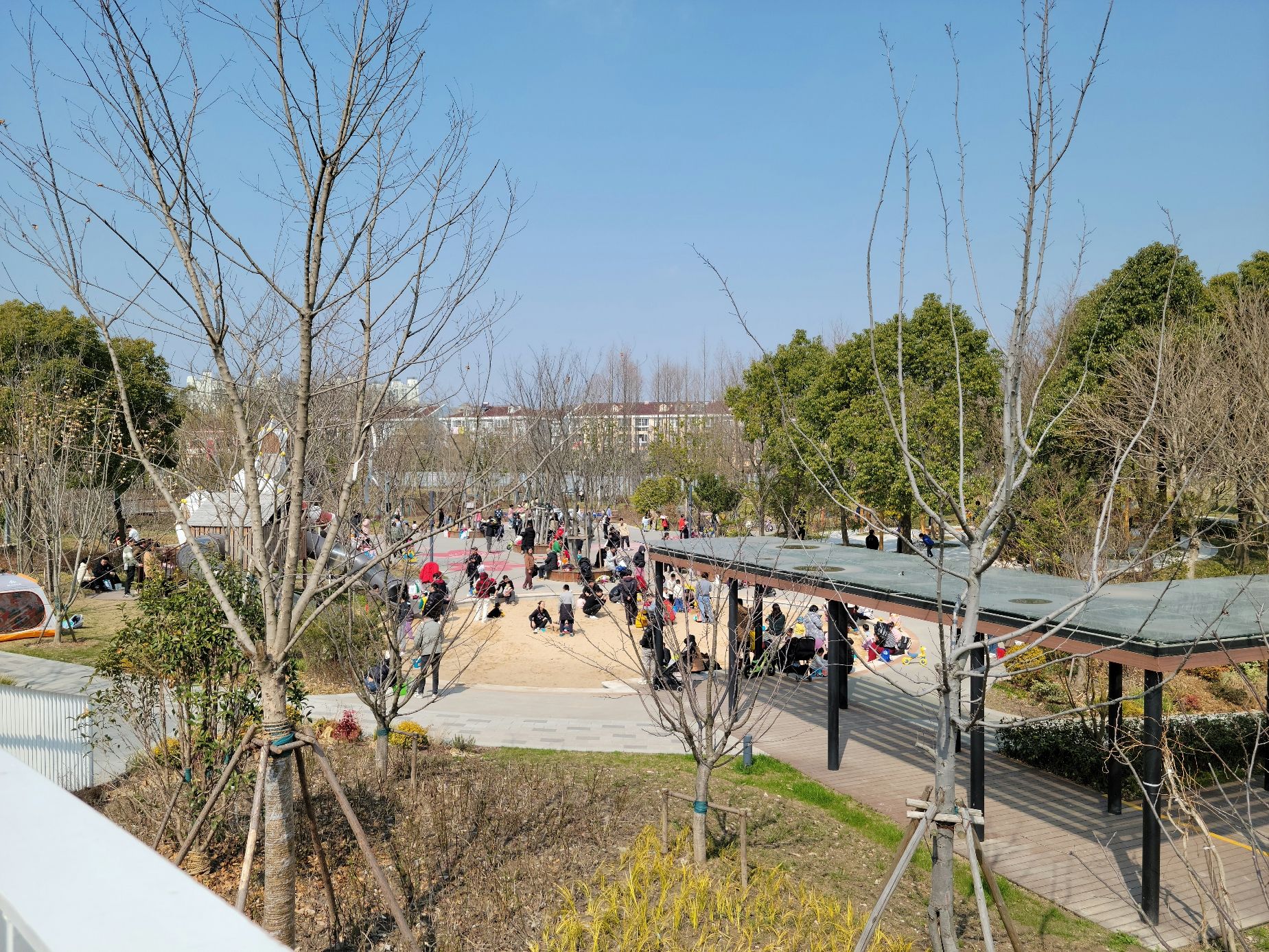 春光公园旅行图片 1