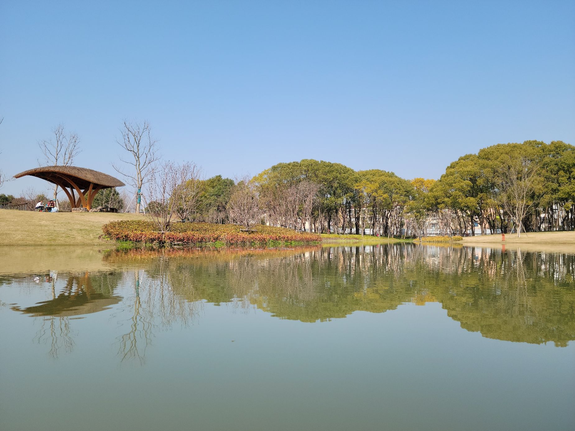 春光公园旅行图片 3