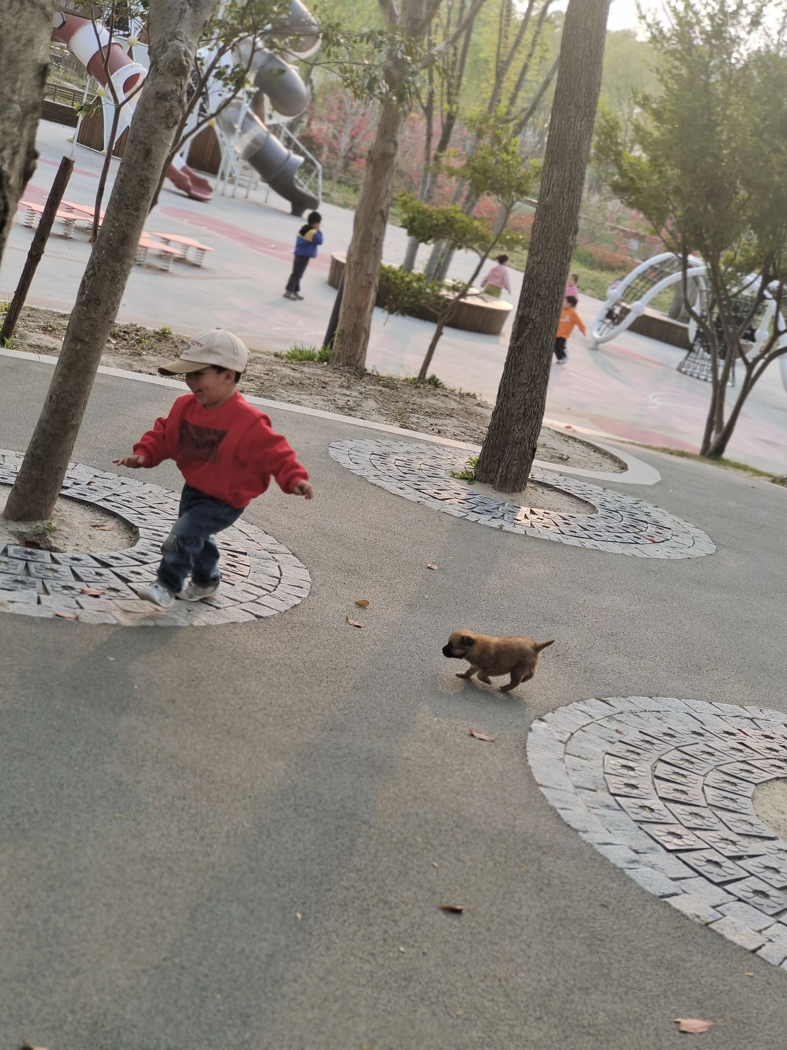 春光公园旅行图片 3