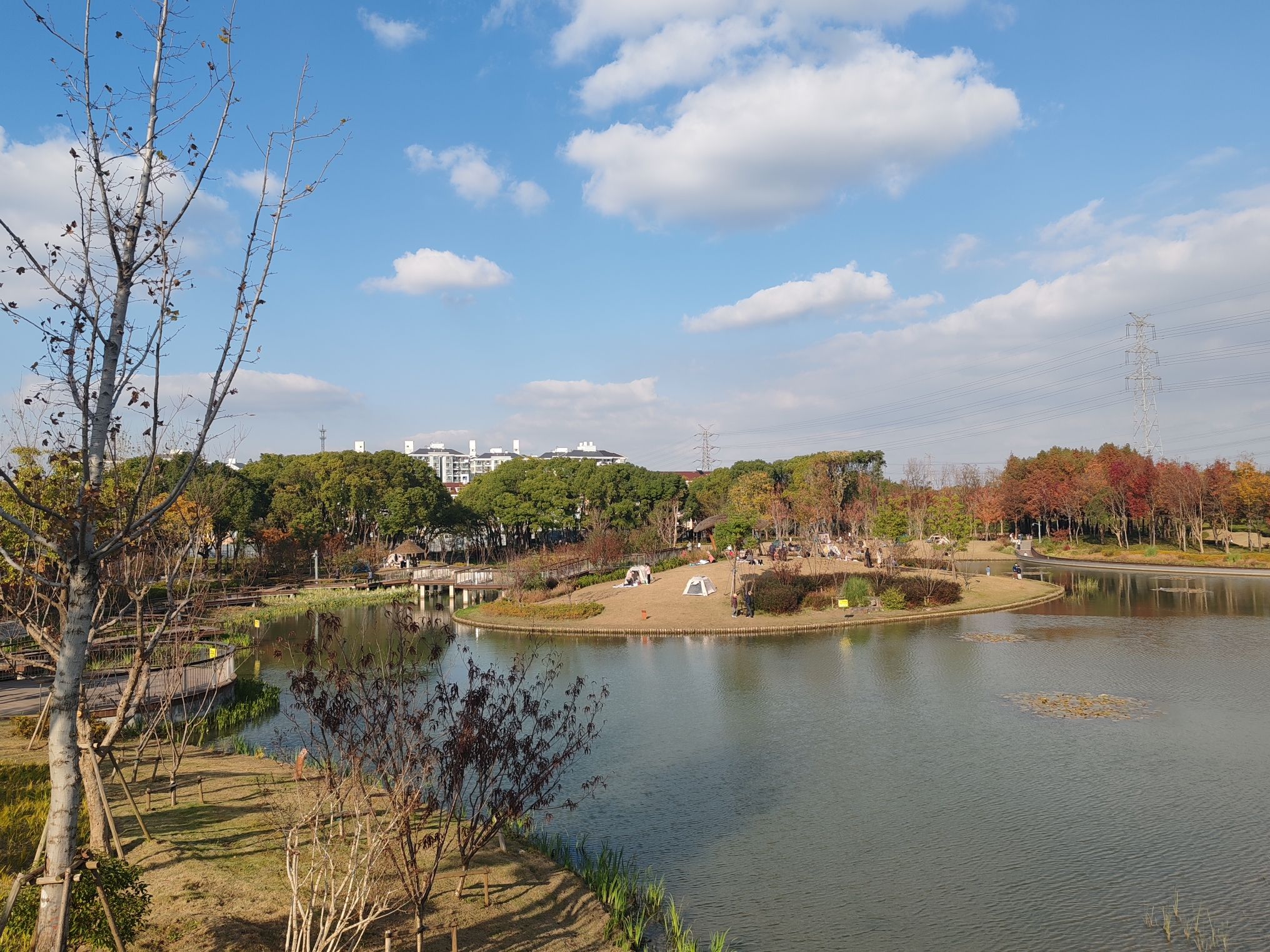 春光公园旅行图片 1