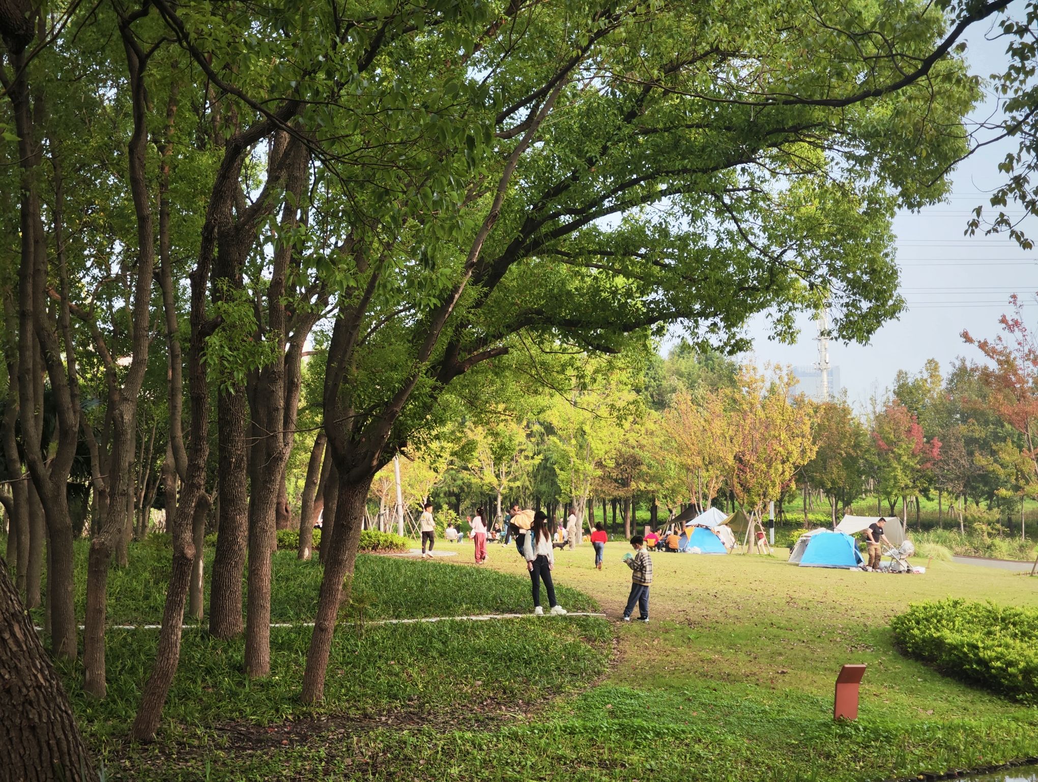 春光公园旅行图片 2