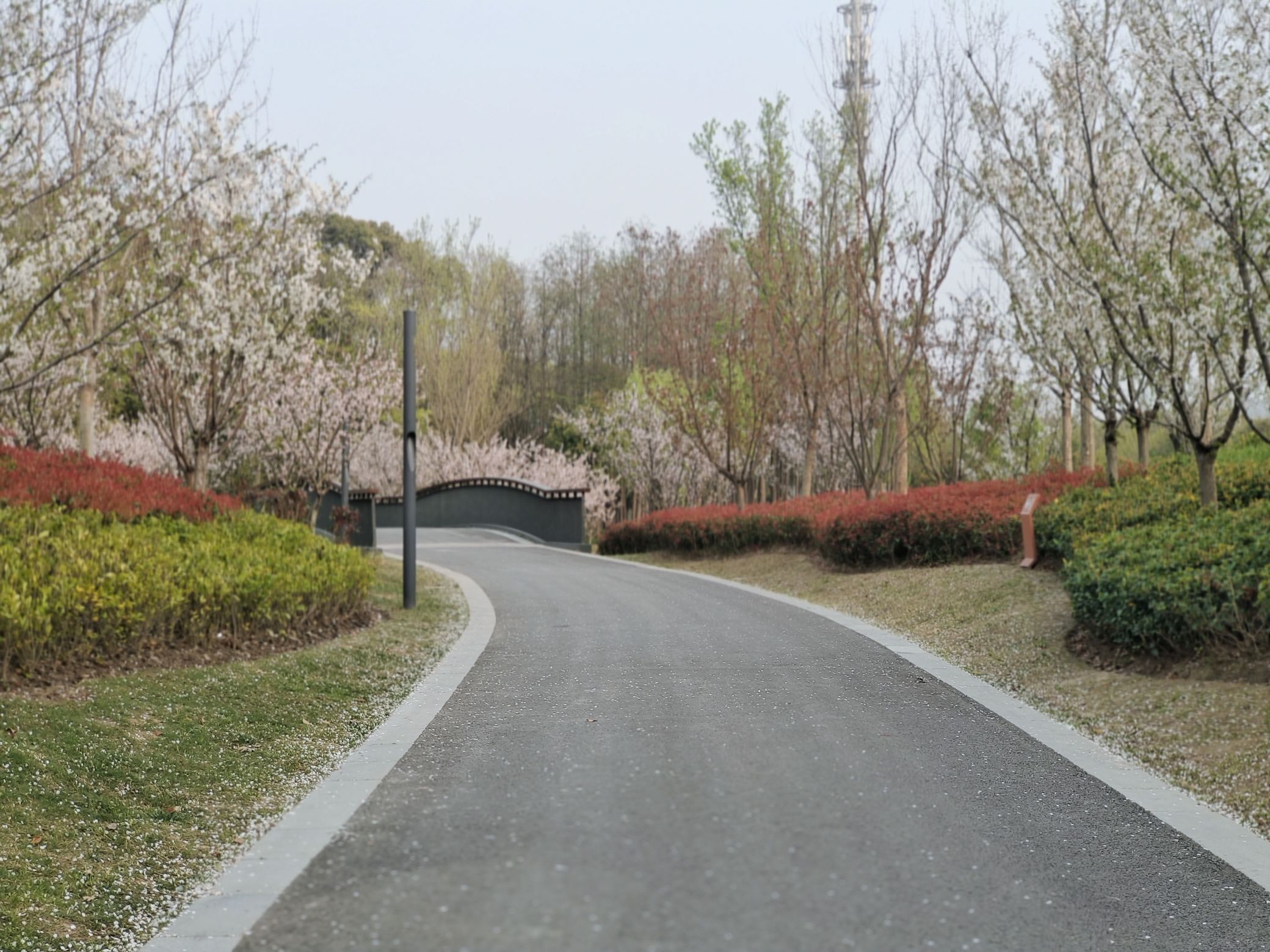春光公园旅行图片 2