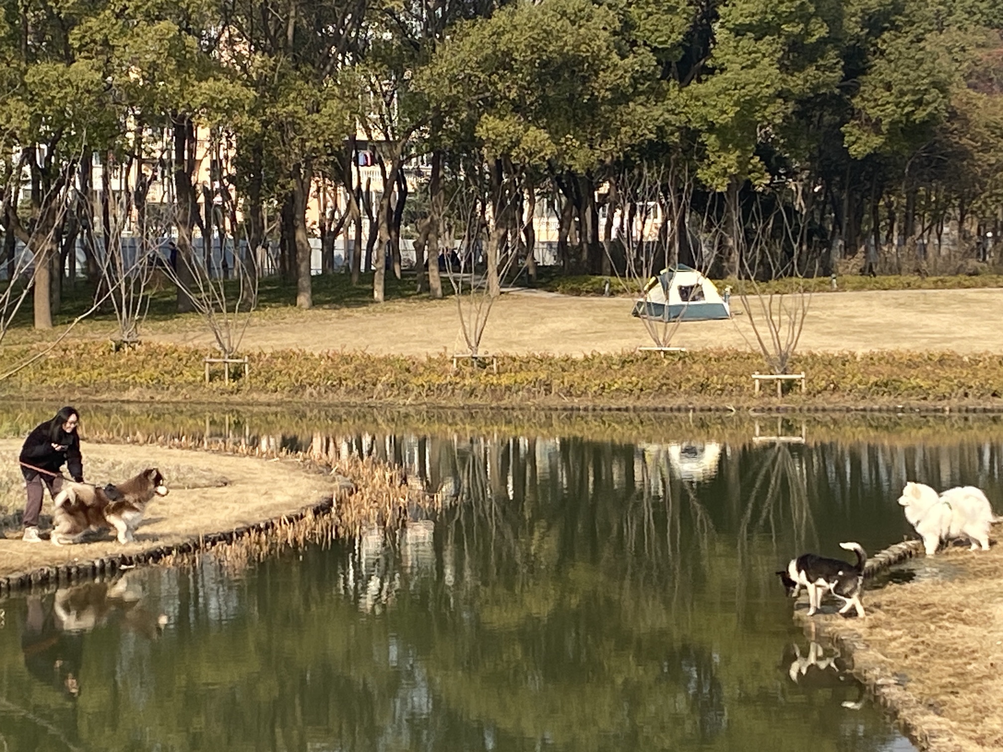 春光公园旅行图片 3