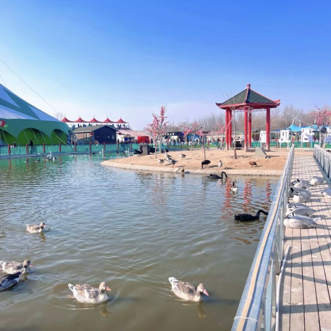 滑县森林动物园旅行图片 1