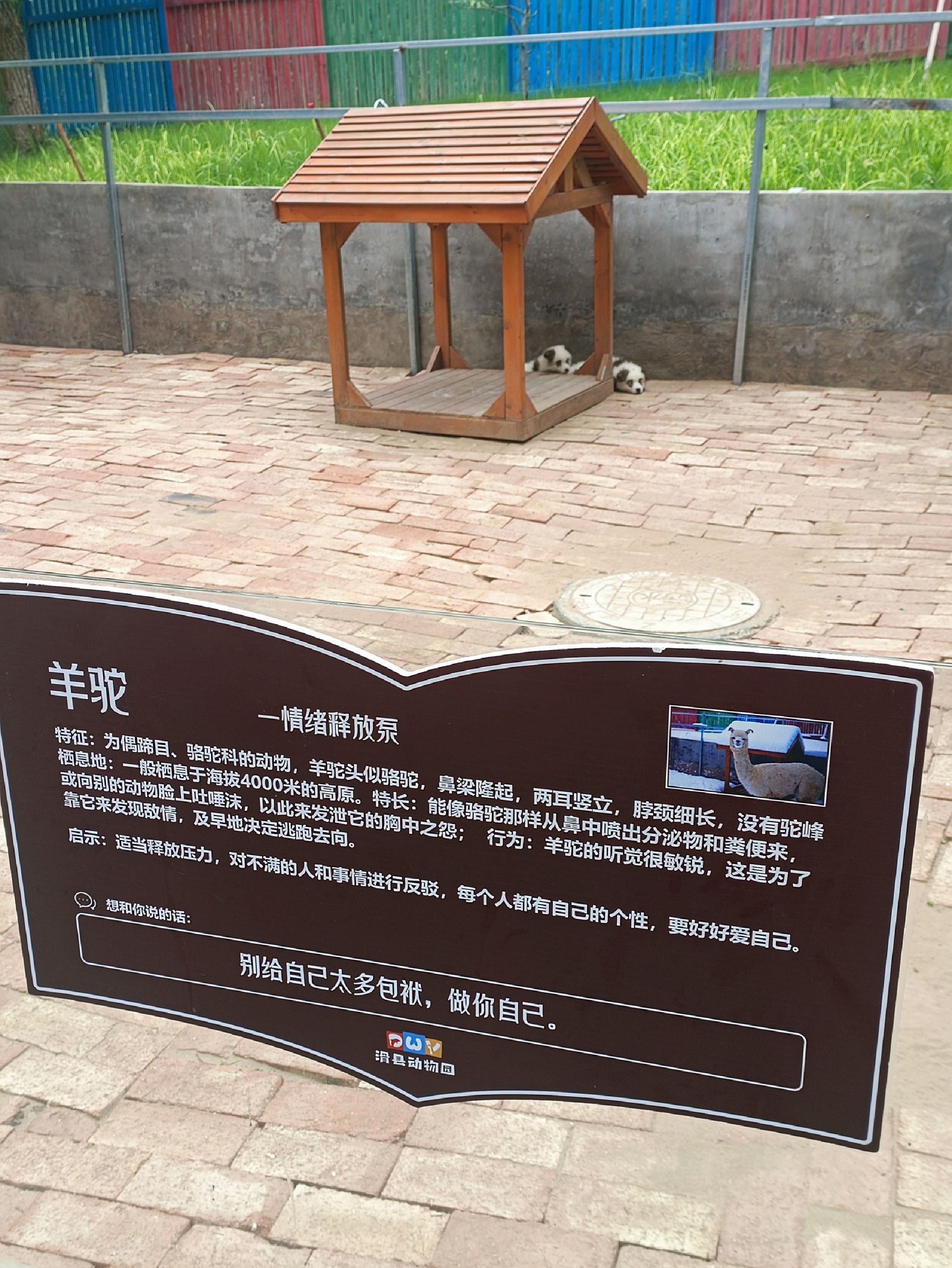 滑县森林动物园旅行图片 1