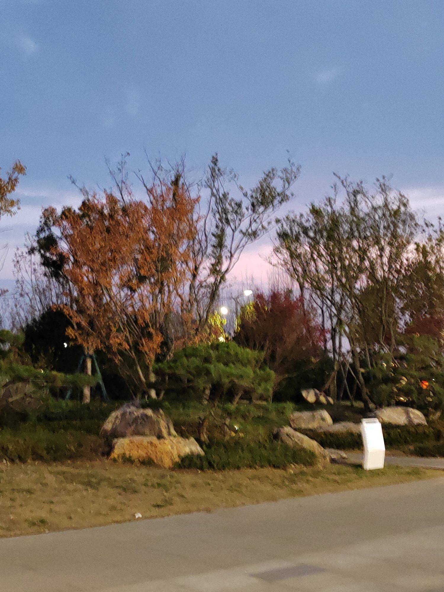 北京路公园旅行图片 3