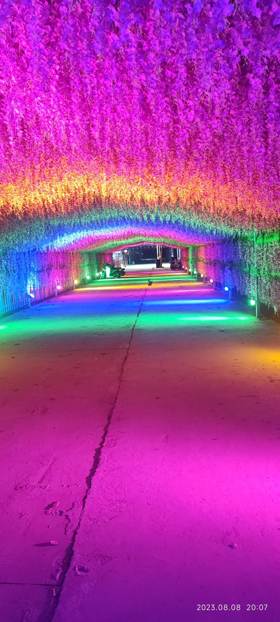 熊孩子乐园旅行图片 1