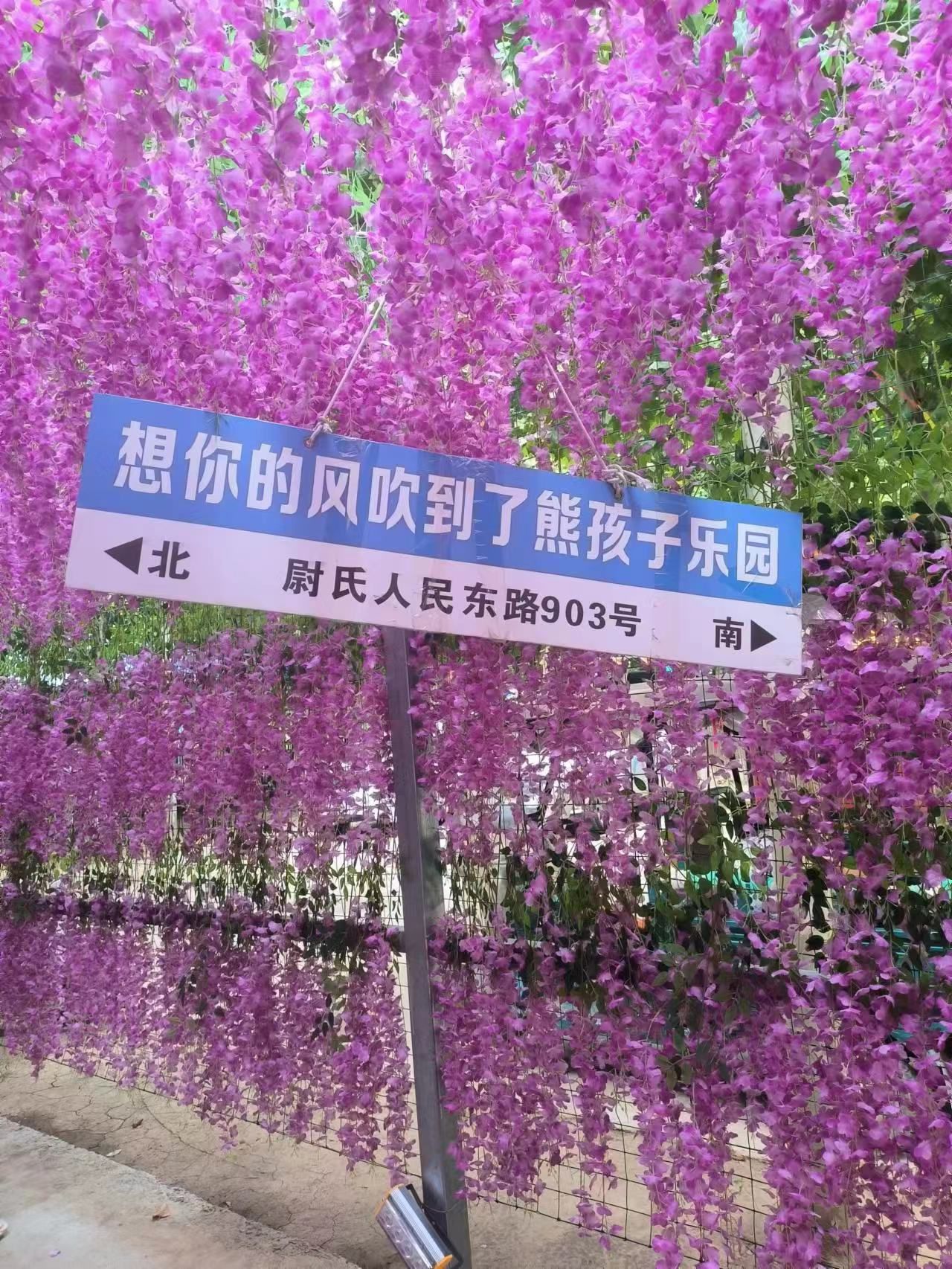 熊孩子乐园旅行图片 3