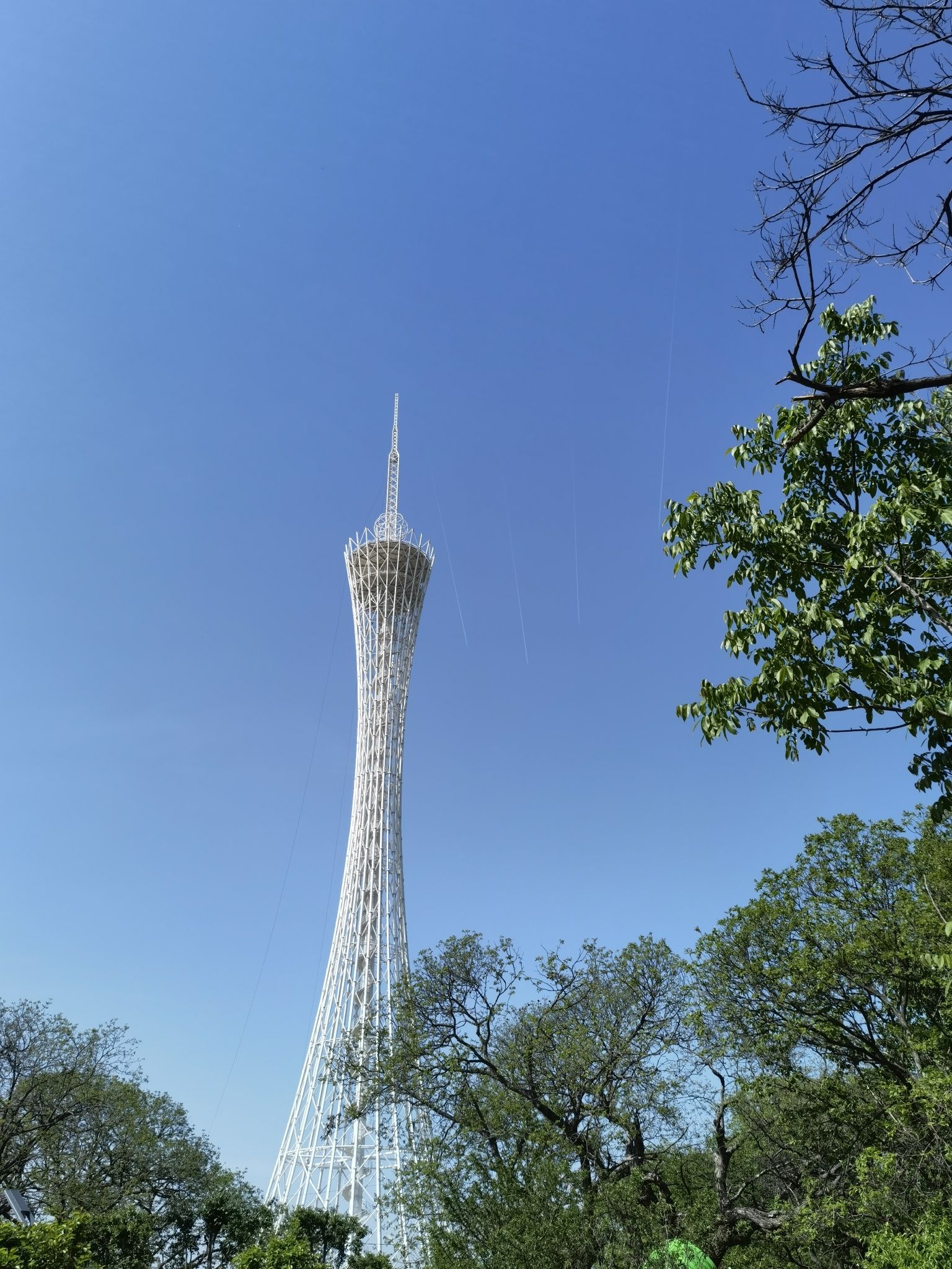 郯城塔旅行图片 1