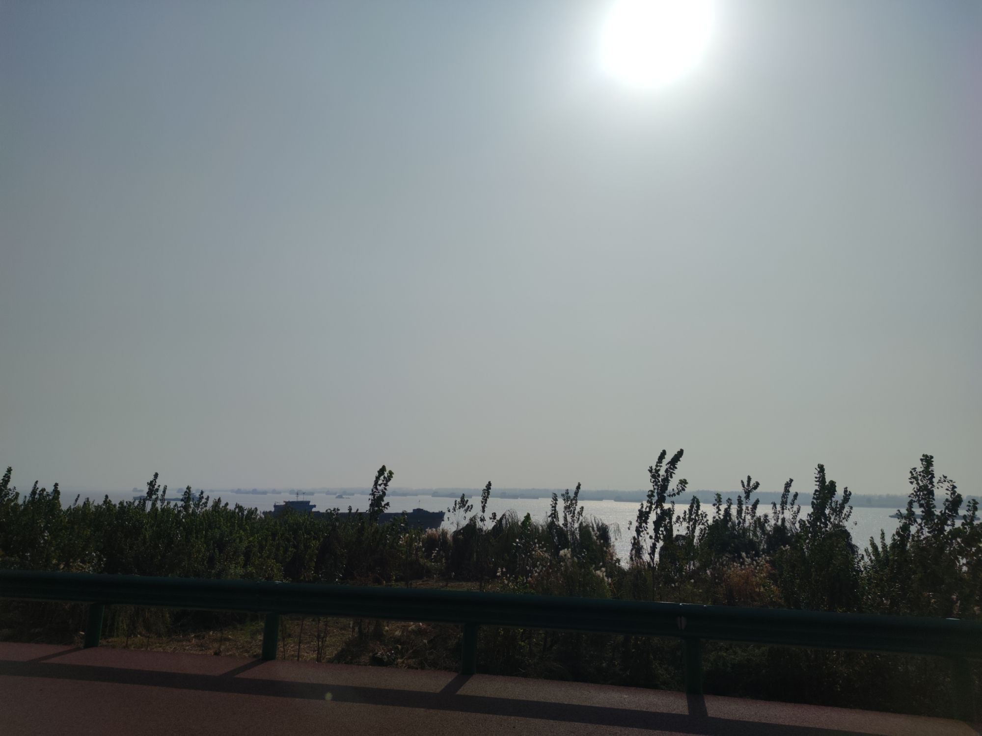 滨江ECD油罐生态文化中心户外广场公园旅行图片 3