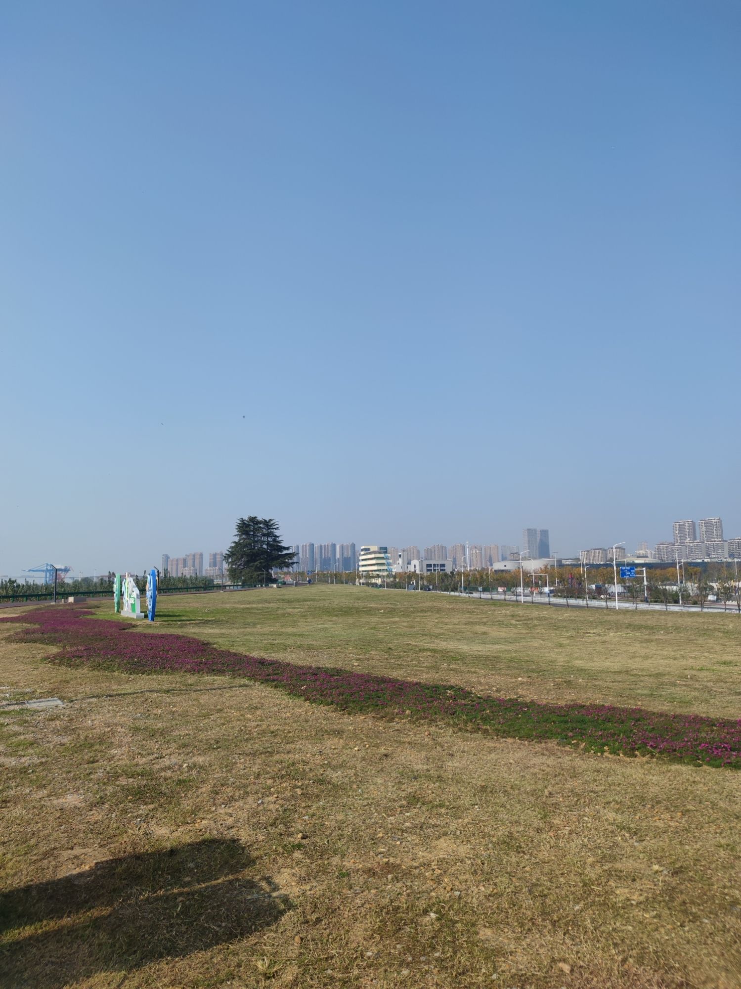 滨江ECD油罐生态文化中心户外广场公园旅行图片 2