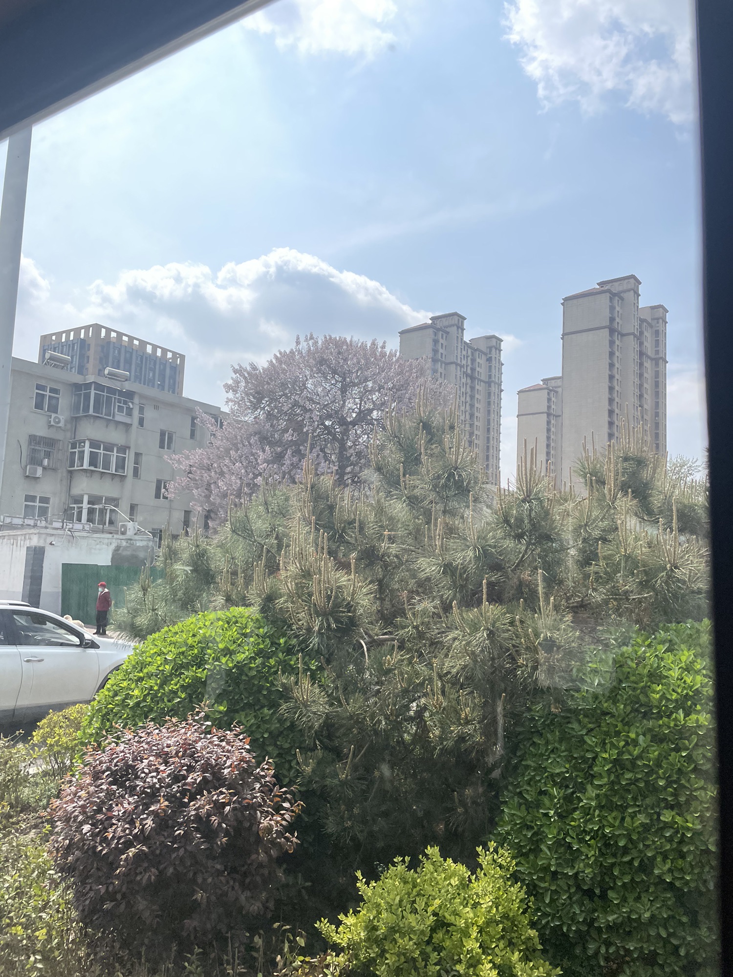 湾里庙水幕广场旅行图片 2
