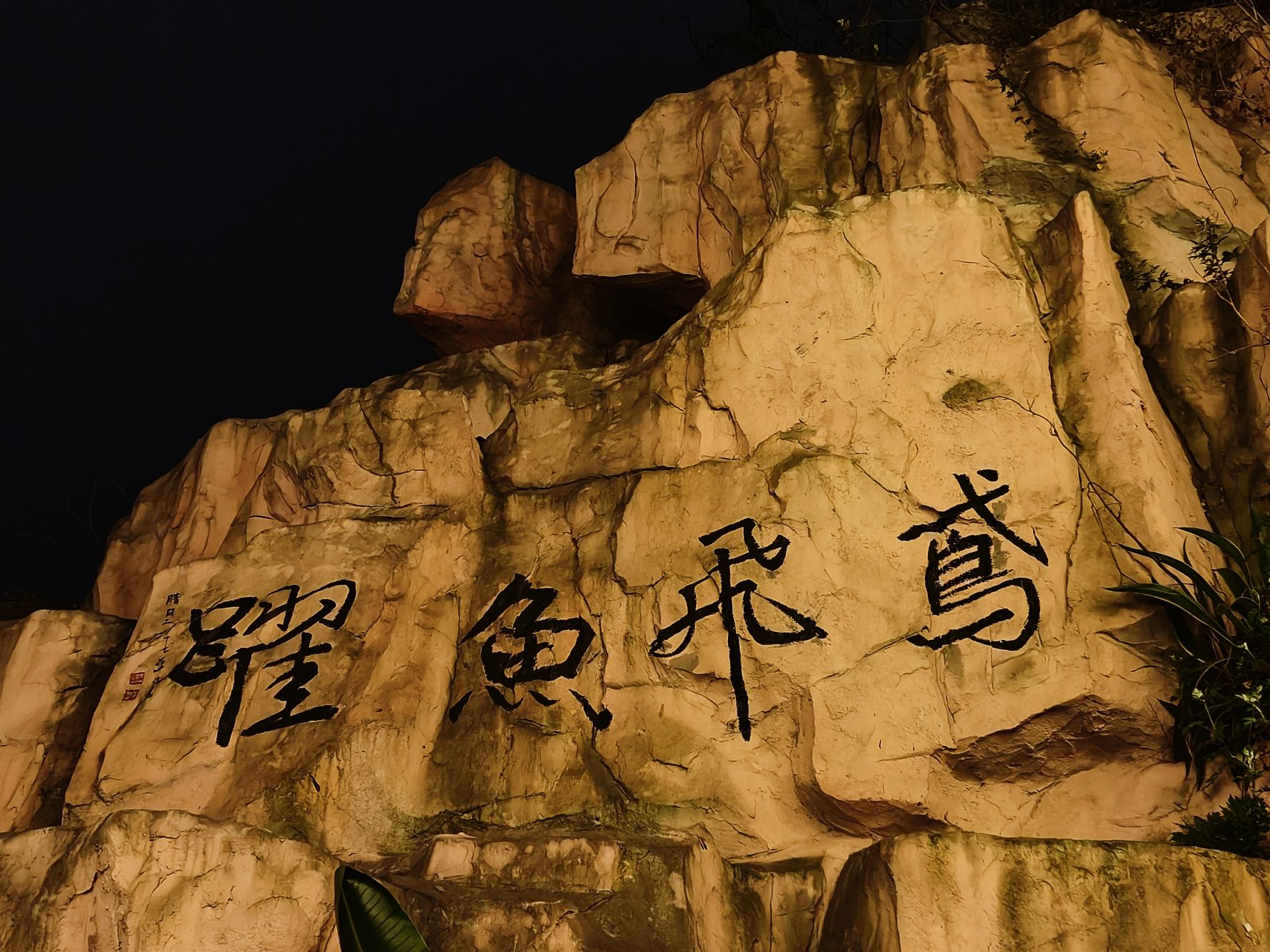 鸢山山体公园旅行图片 1
