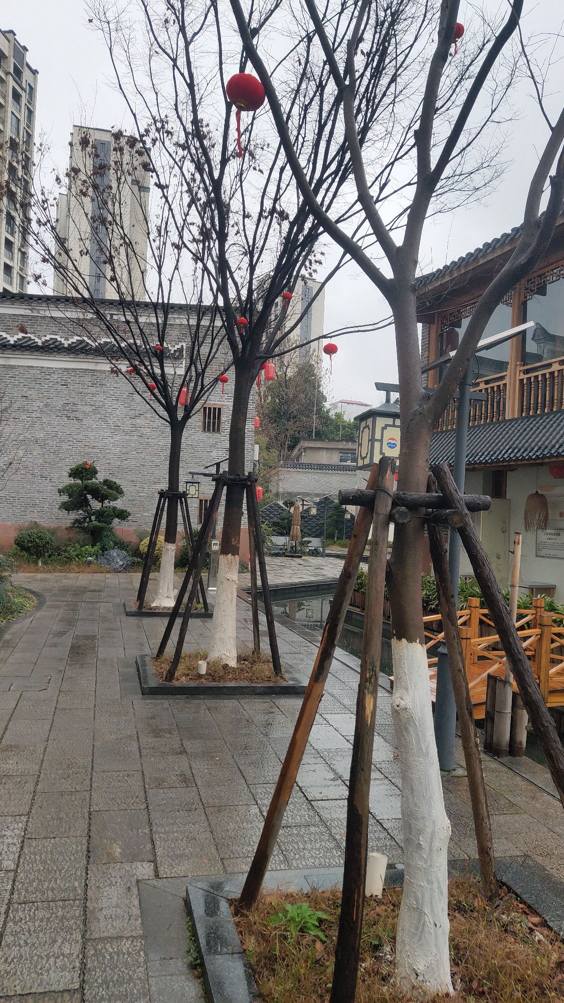 水巷历史文化街区旅行图片 2