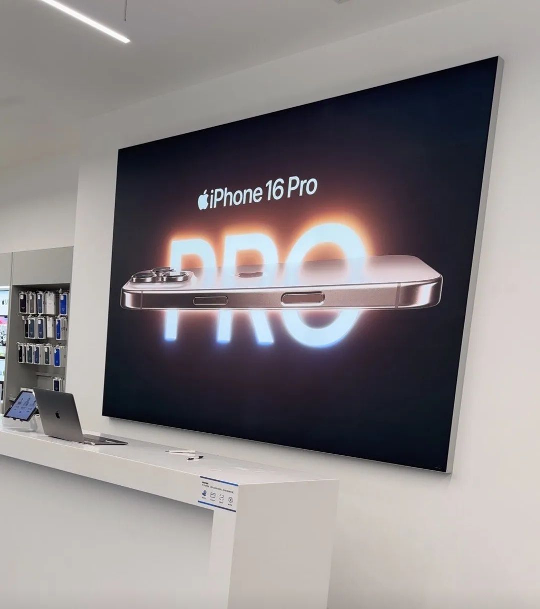 Apple授权专营店(天中环球港店)
