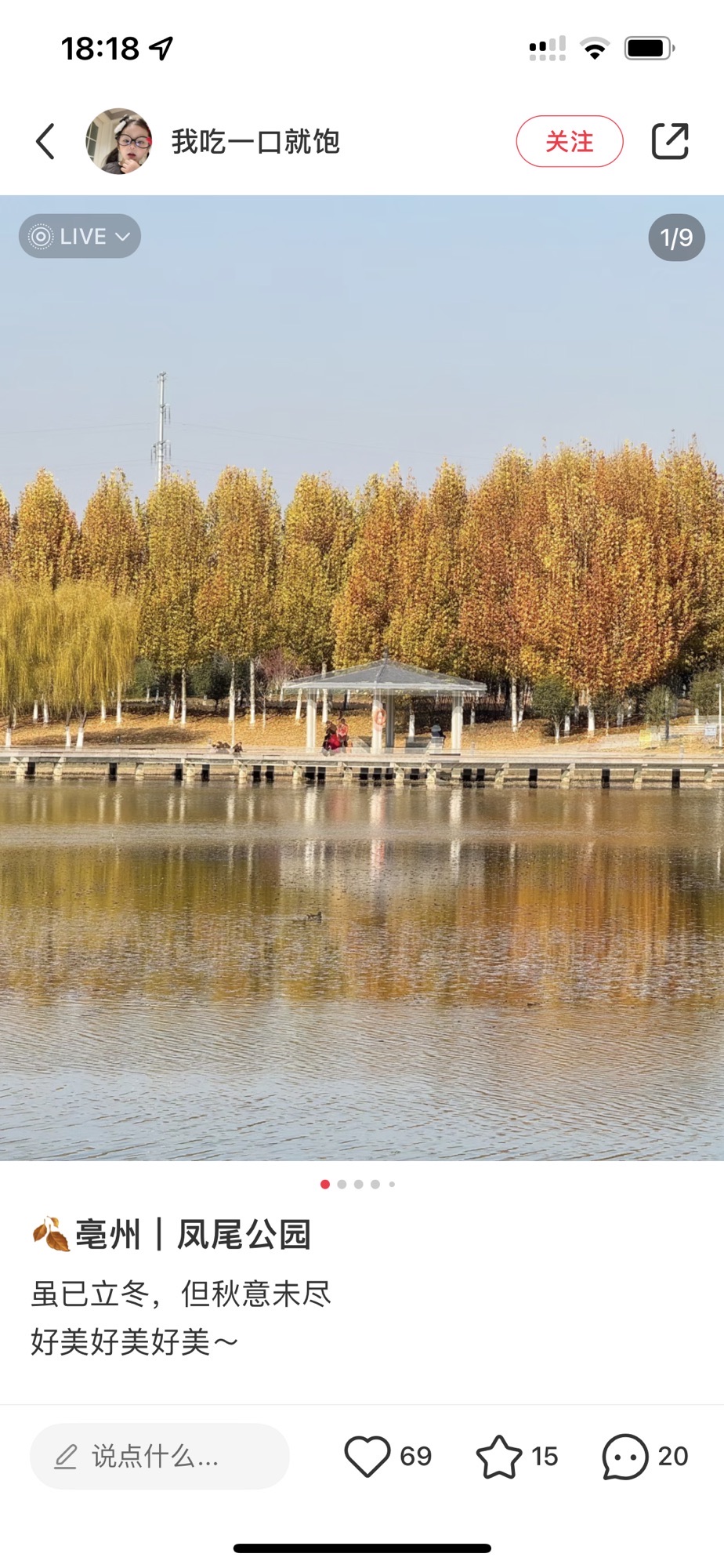 凤尾公园旅行图片 2