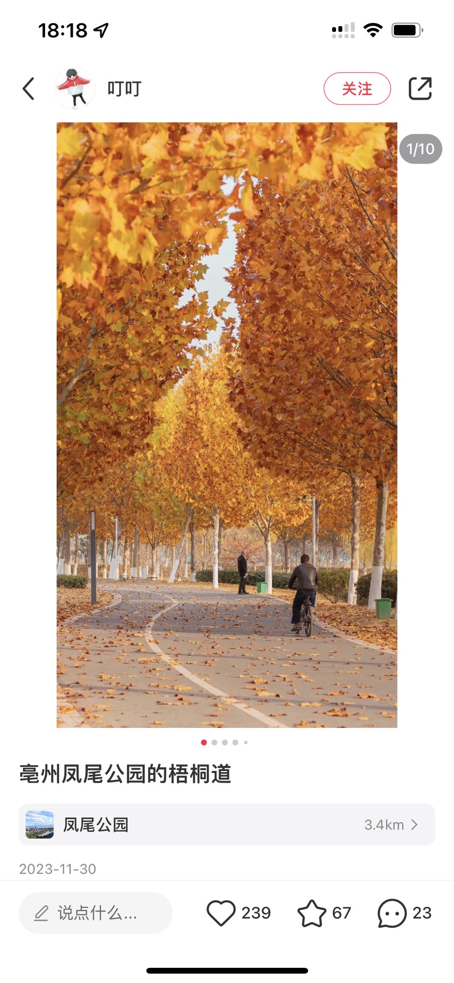 凤尾公园旅行图片 1