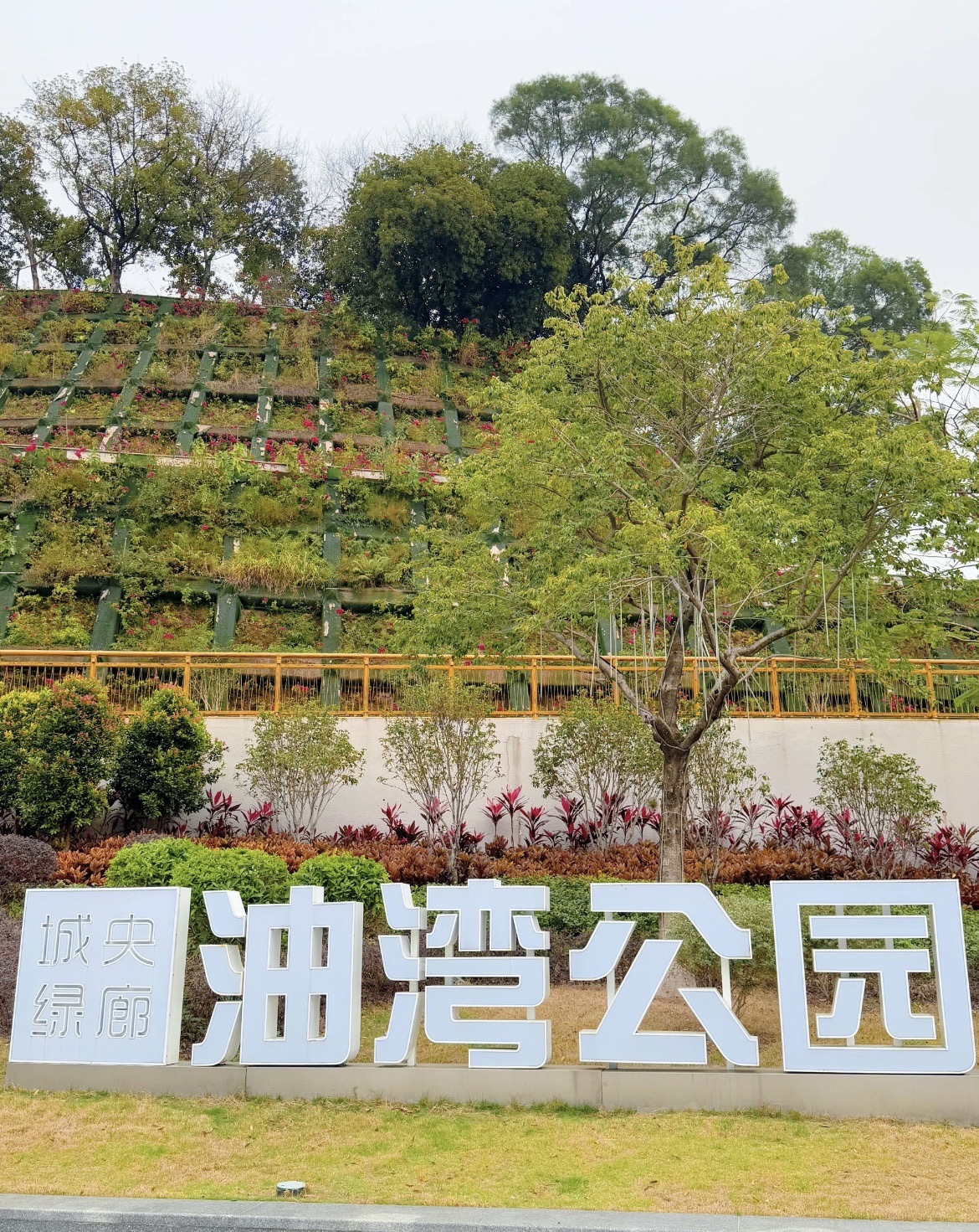 油湾公园旅行图片