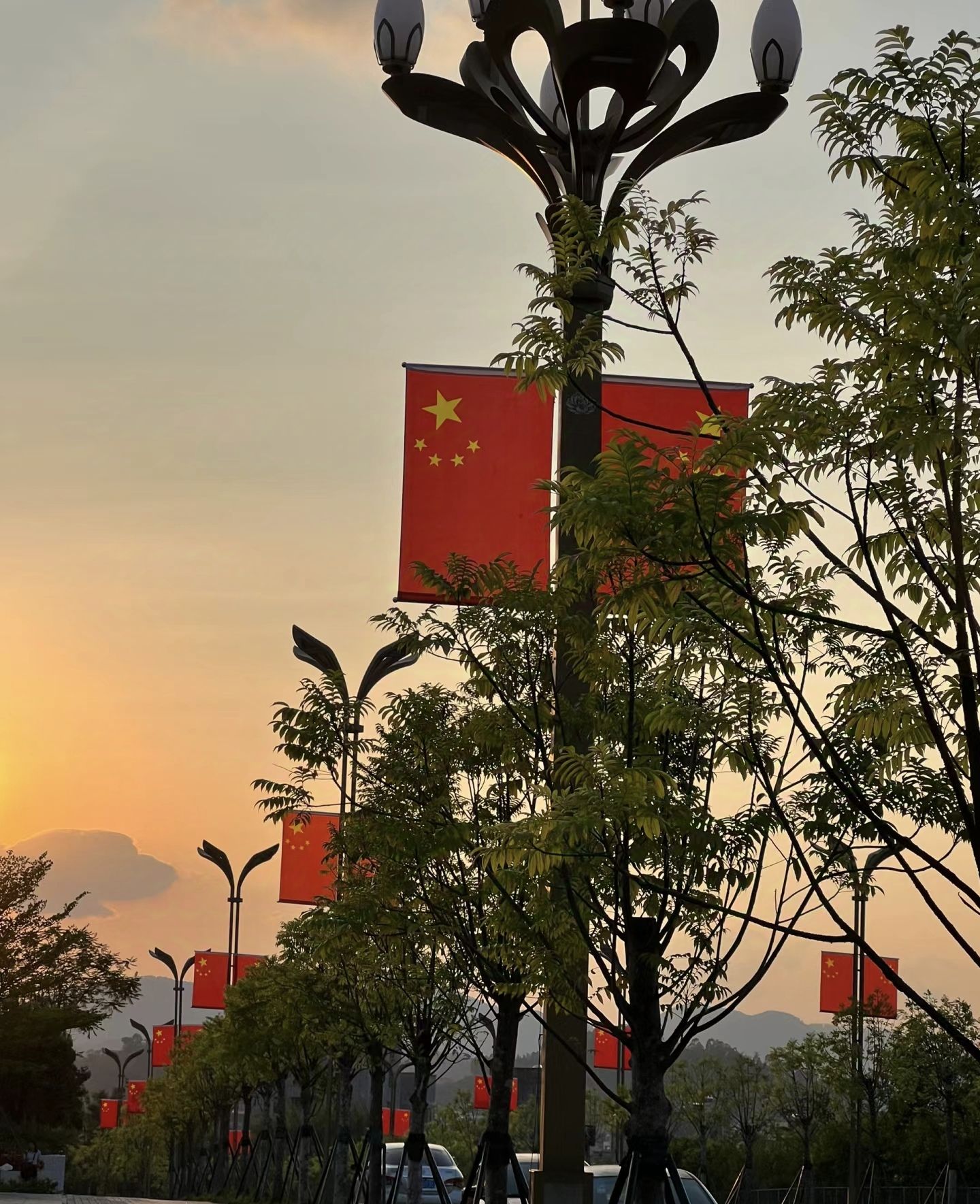 市民广场旅行图片 2