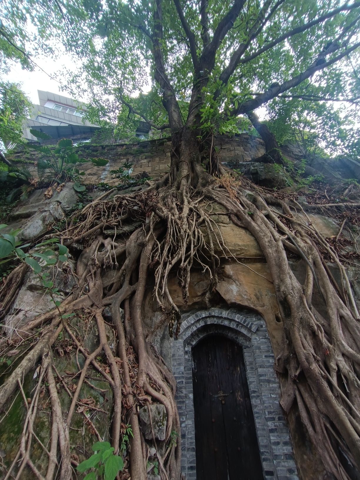 曾家岩临崖步道旅行图片 2