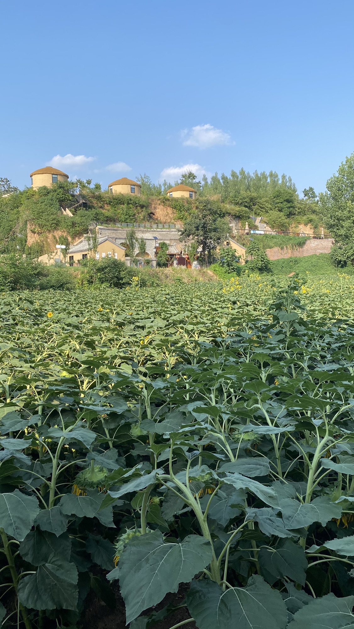 逍窑妙境文化园旅行图片 3