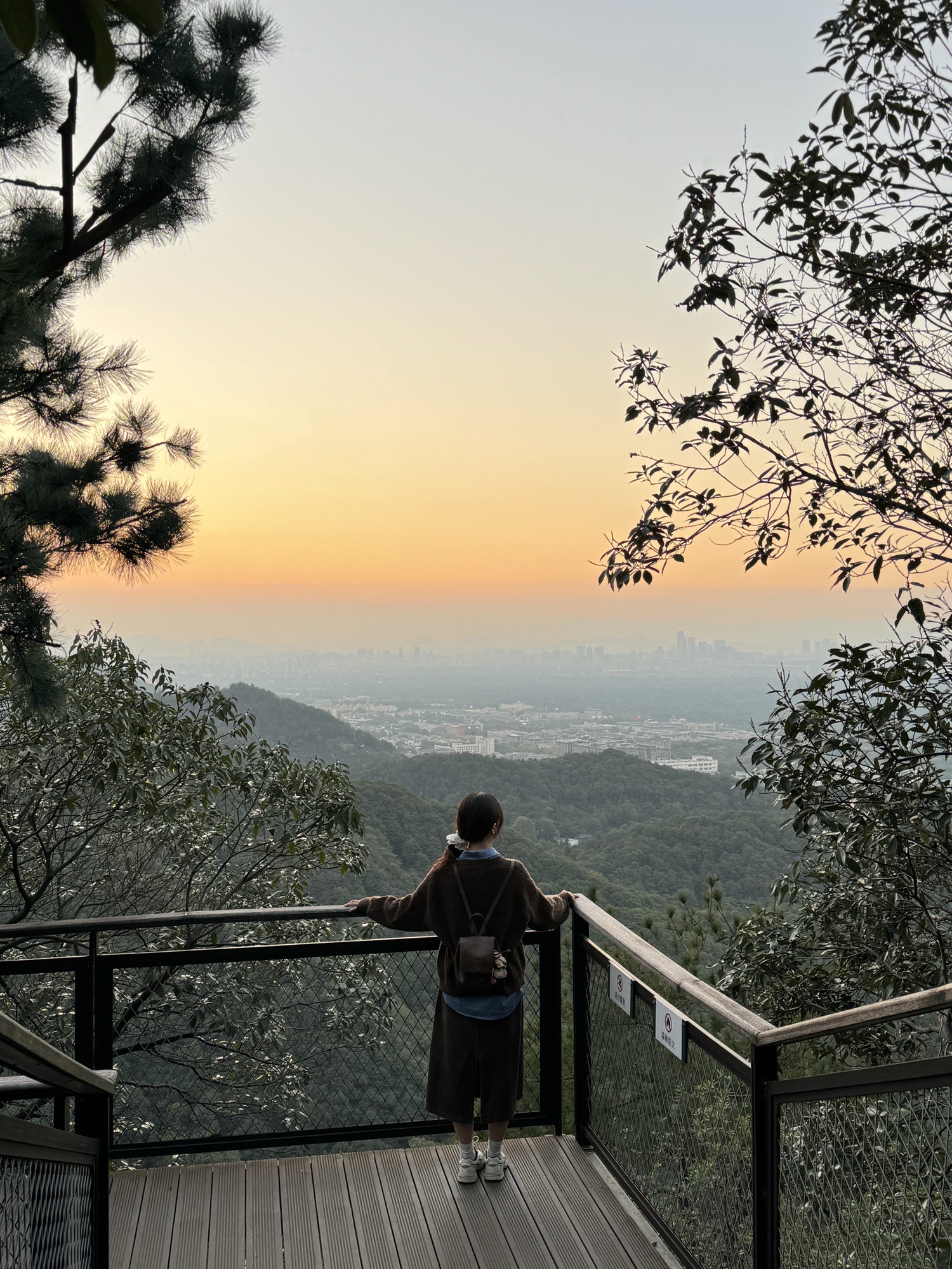 马家坞观景台旅行图片 3