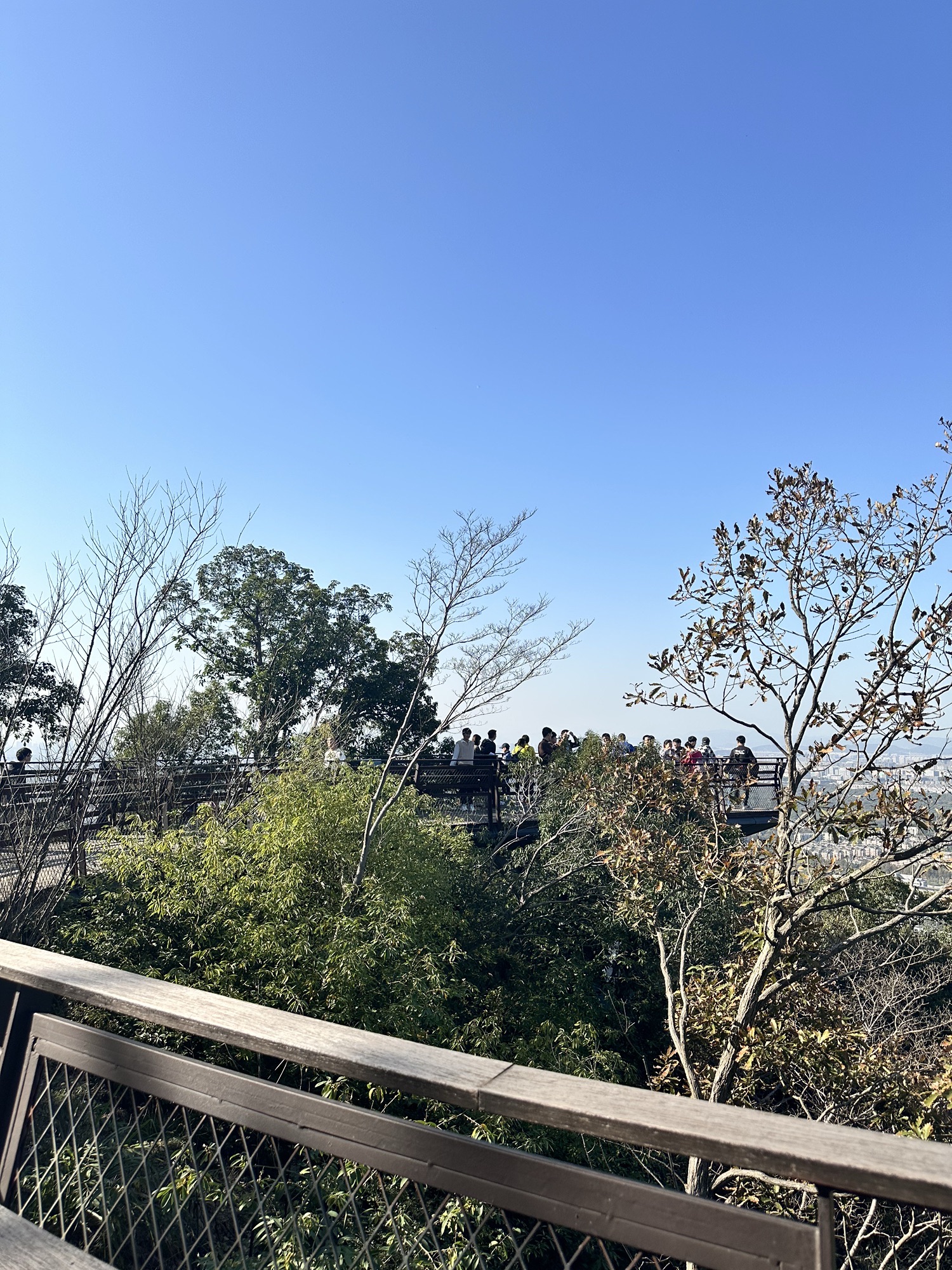 马家坞观景台旅行图片 1