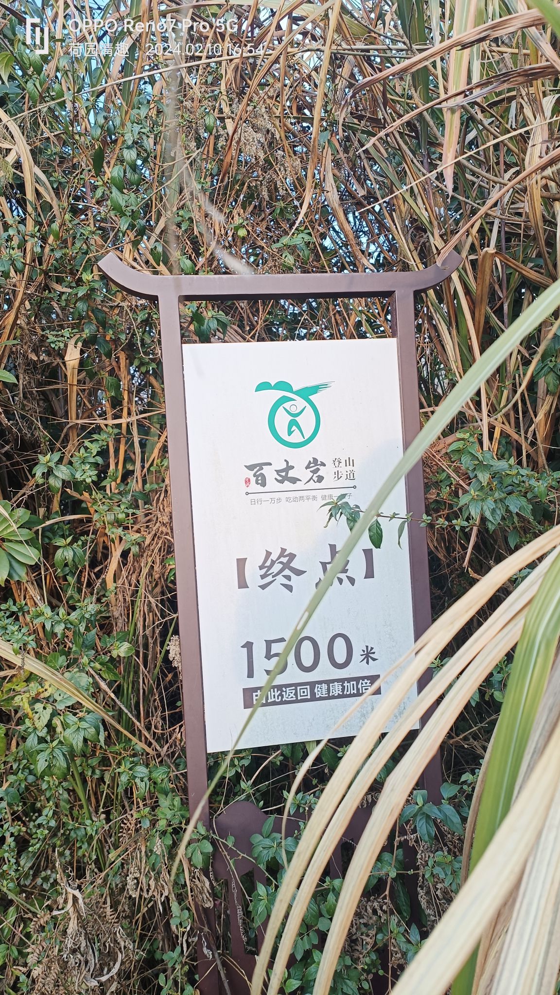 百丈岩旅行图片 1