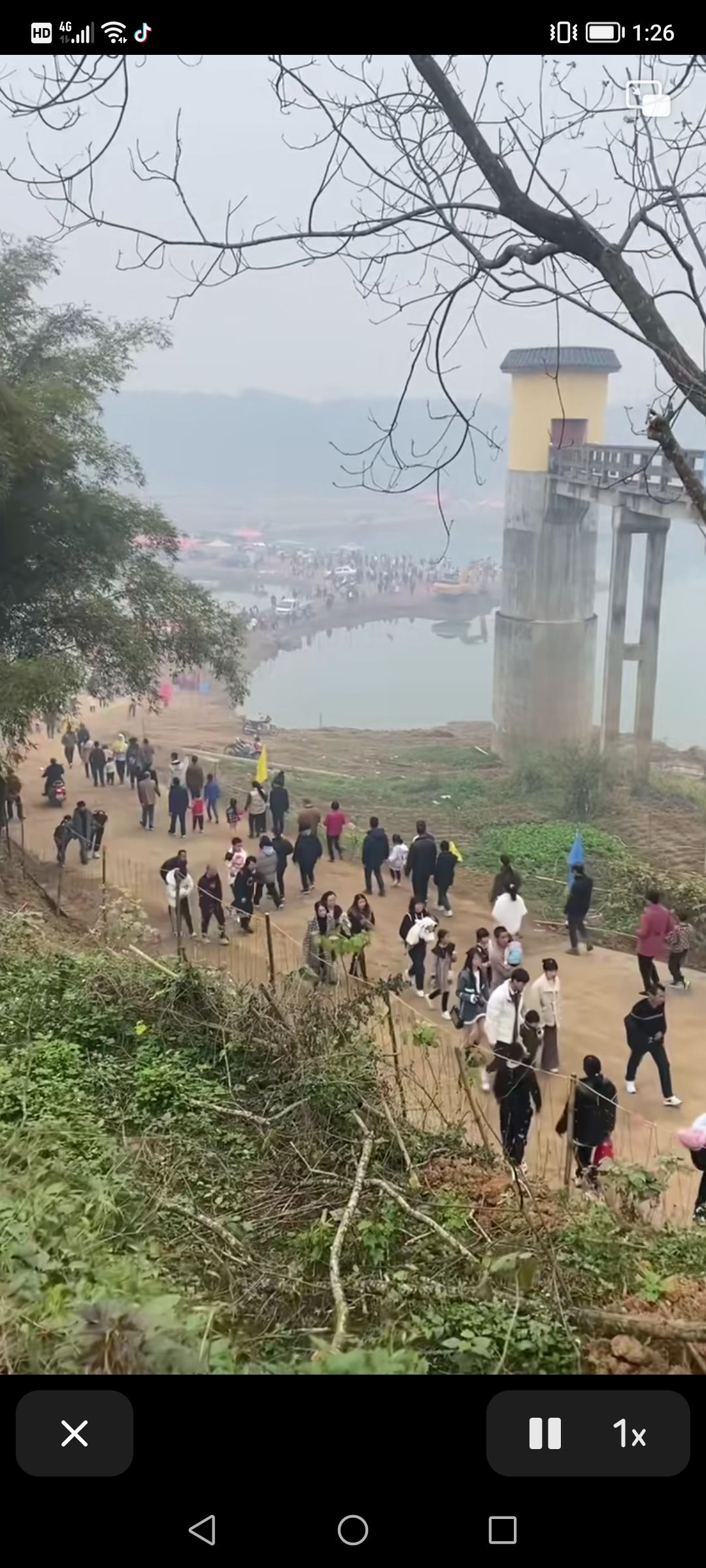 相思洲生态旅游景区旅行图片 1