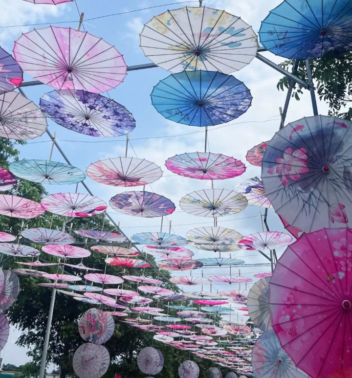 鳄鱼生态公园旅行图片 2