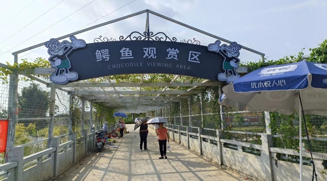 鳄鱼生态公园旅行图片 2