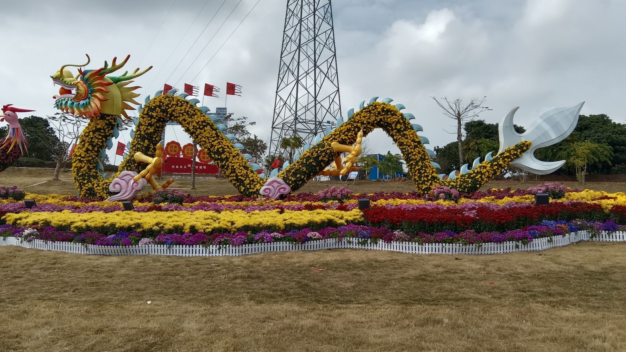 鳄鱼生态公园旅行图片 3