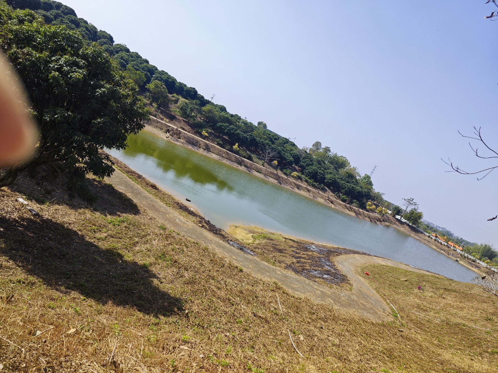 鳄鱼生态公园旅行图片 1
