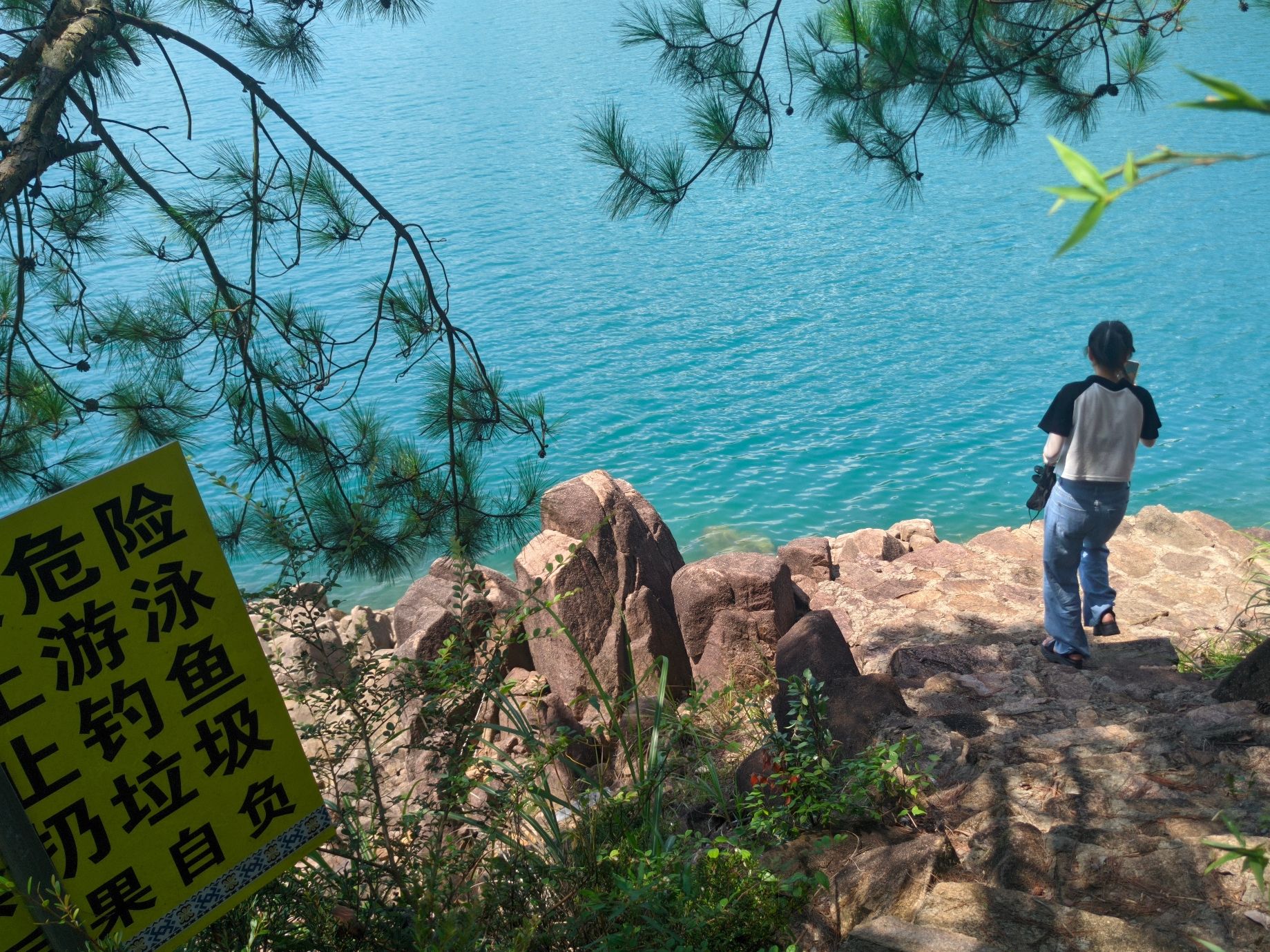 举村观景台旅行图片 1