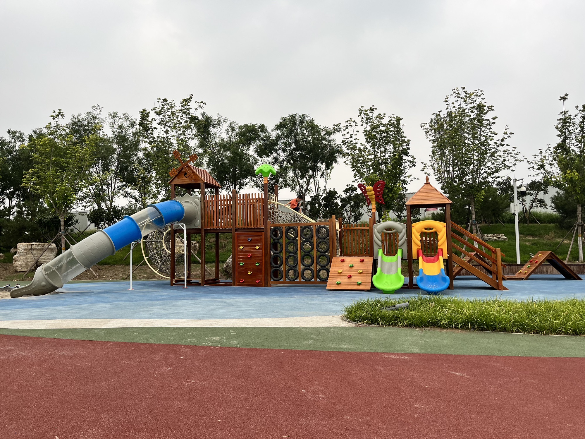 新城湿地公园旅行图片 3