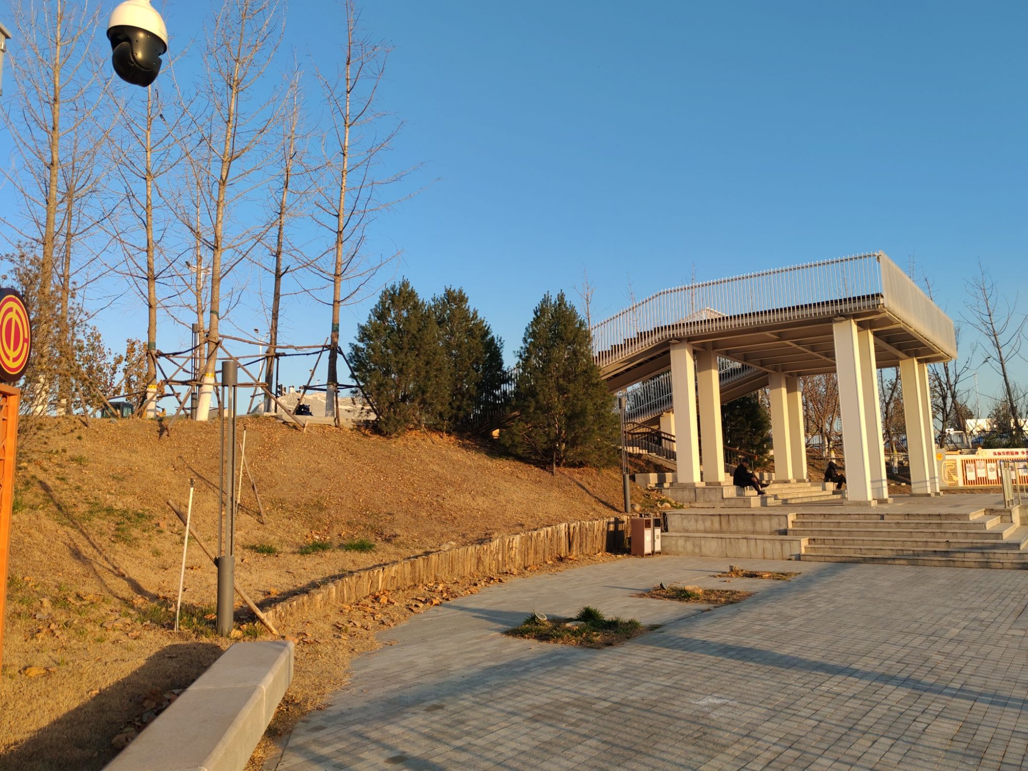 新城湿地公园旅行图片 1
