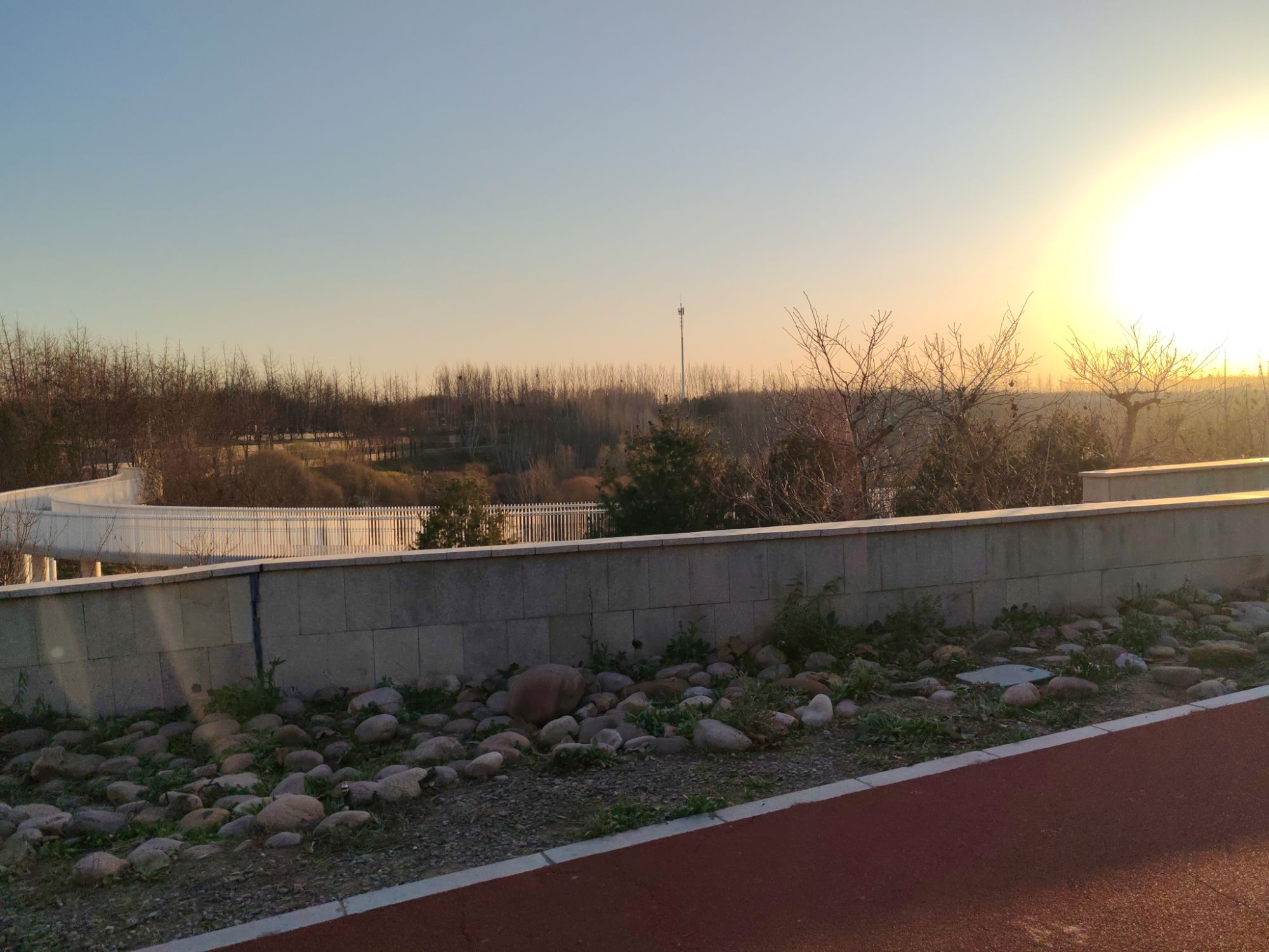 新城湿地公园旅行图片 2