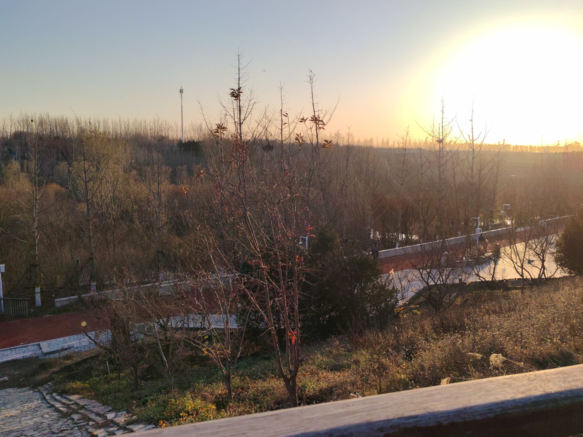 新城湿地公园旅行图片 3