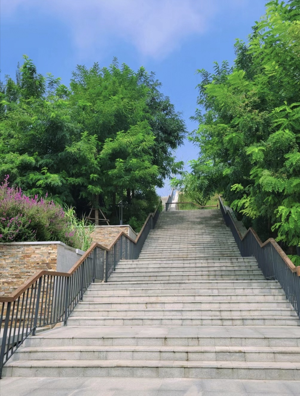 新城湿地公园旅行图片 2