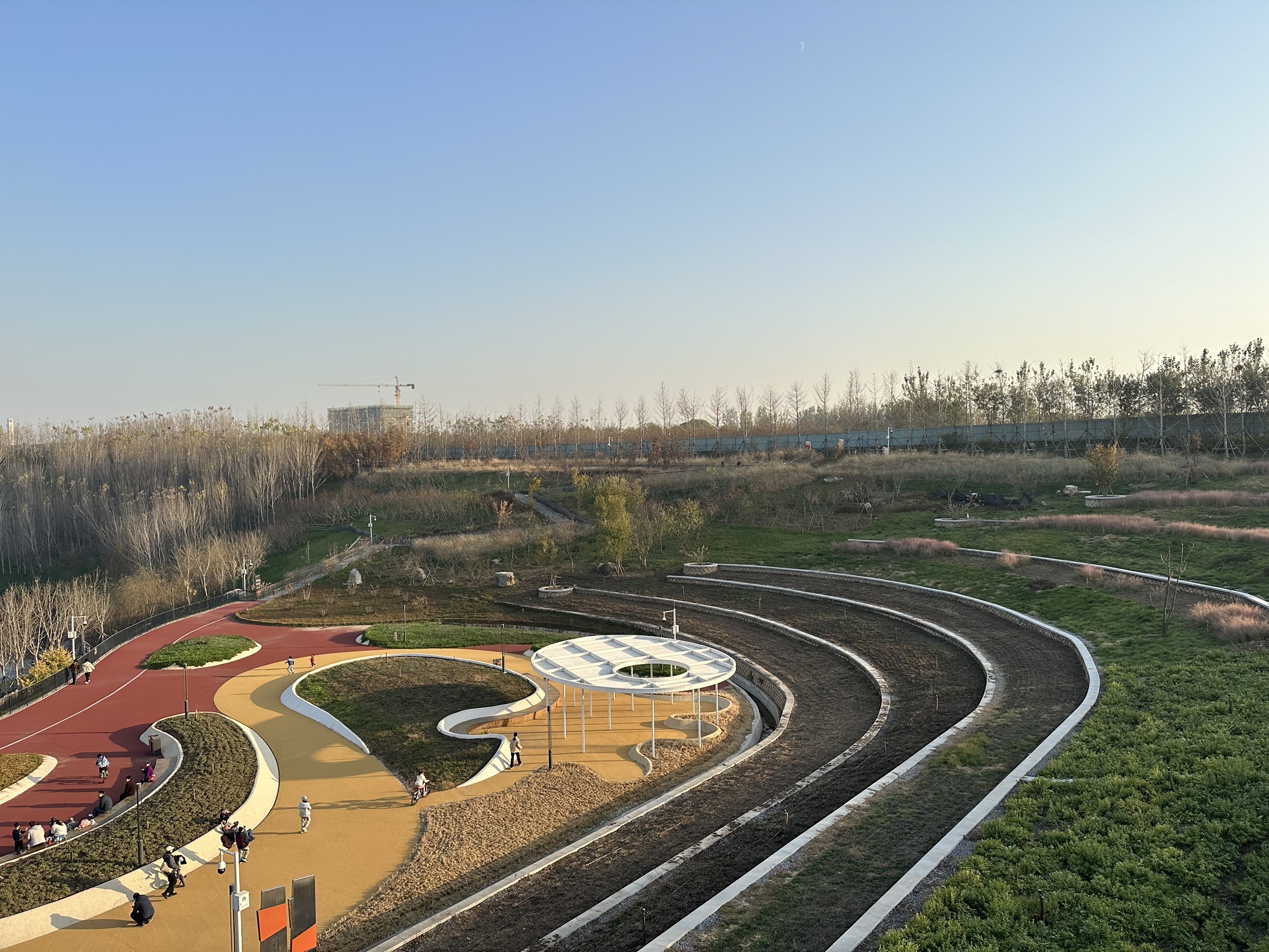 新城湿地公园旅行图片 2