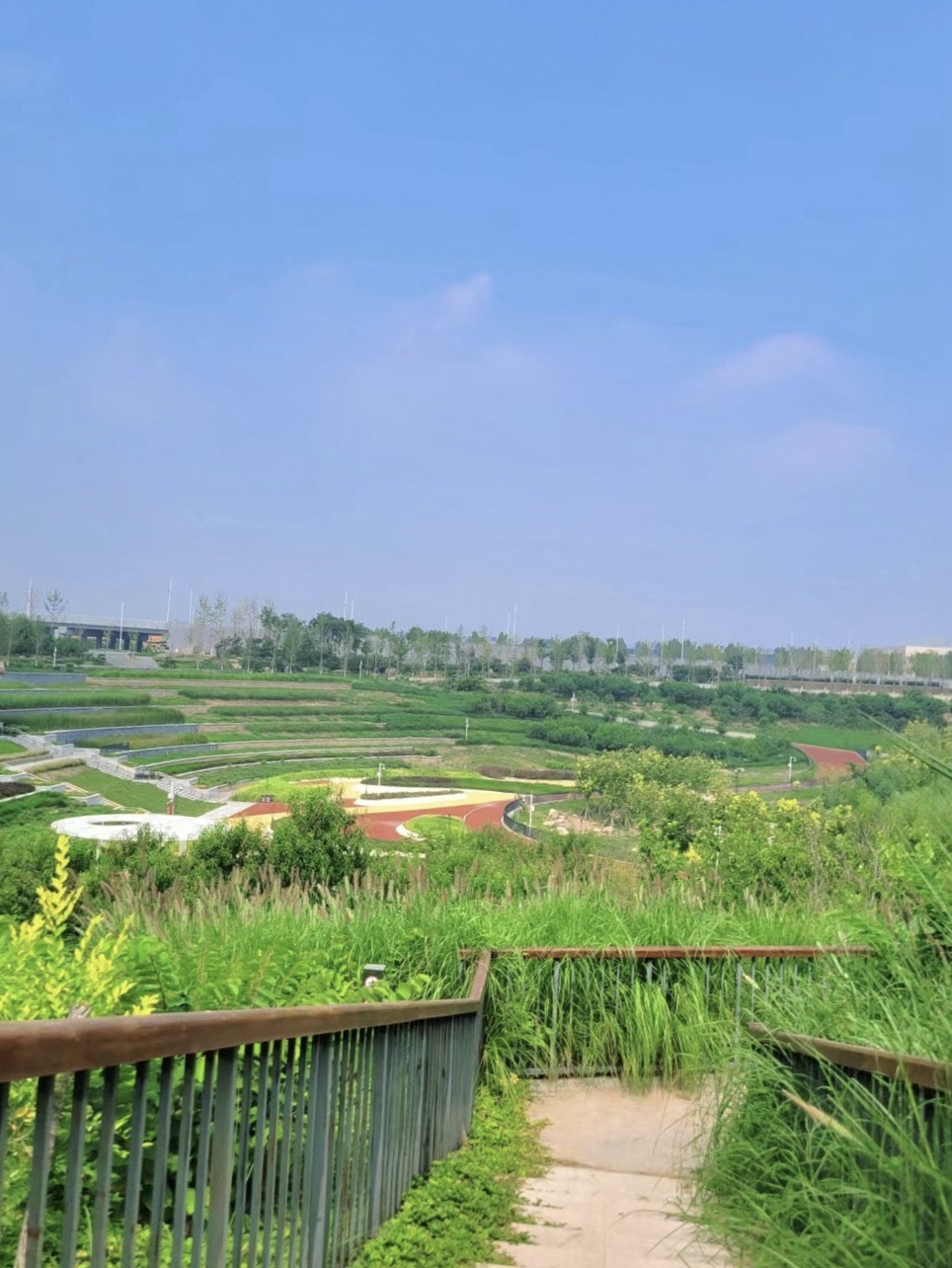 新城湿地公园旅行图片 3