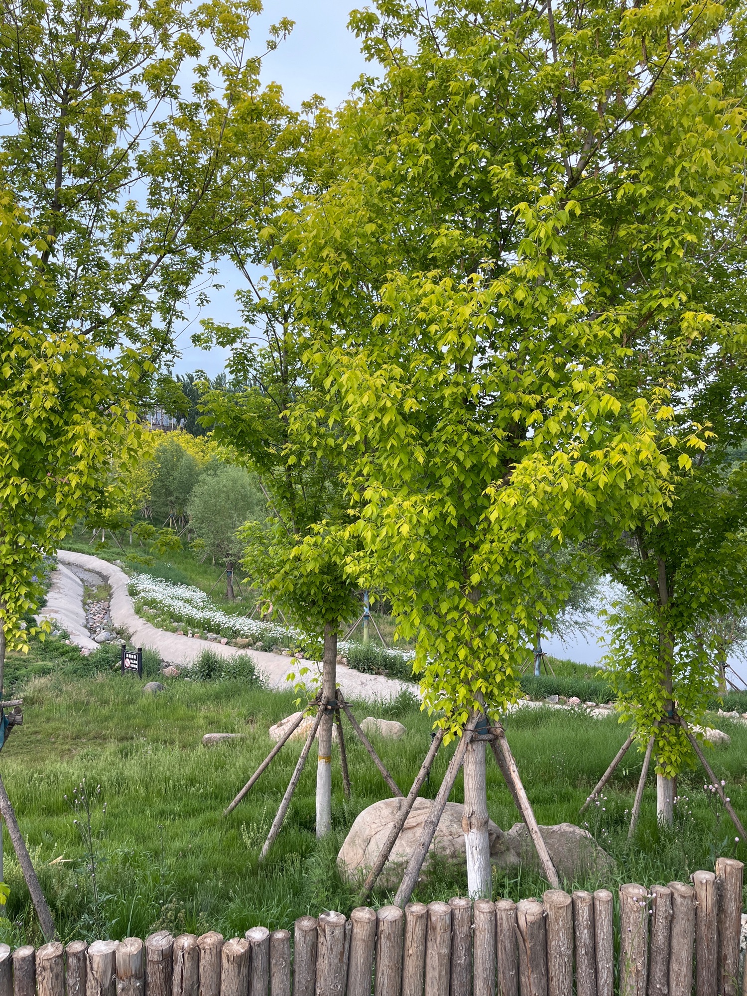 新城湿地公园旅行图片 3