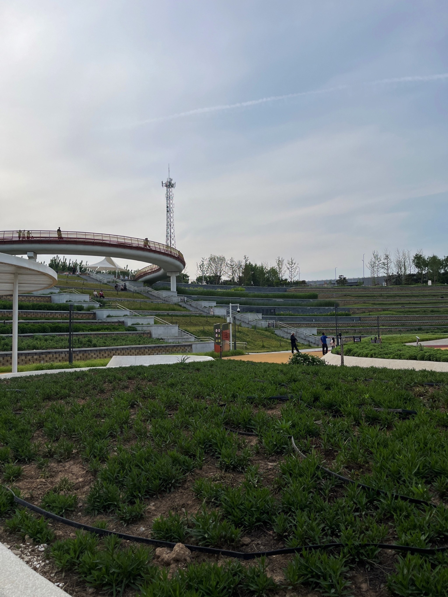 新城湿地公园旅行图片 1