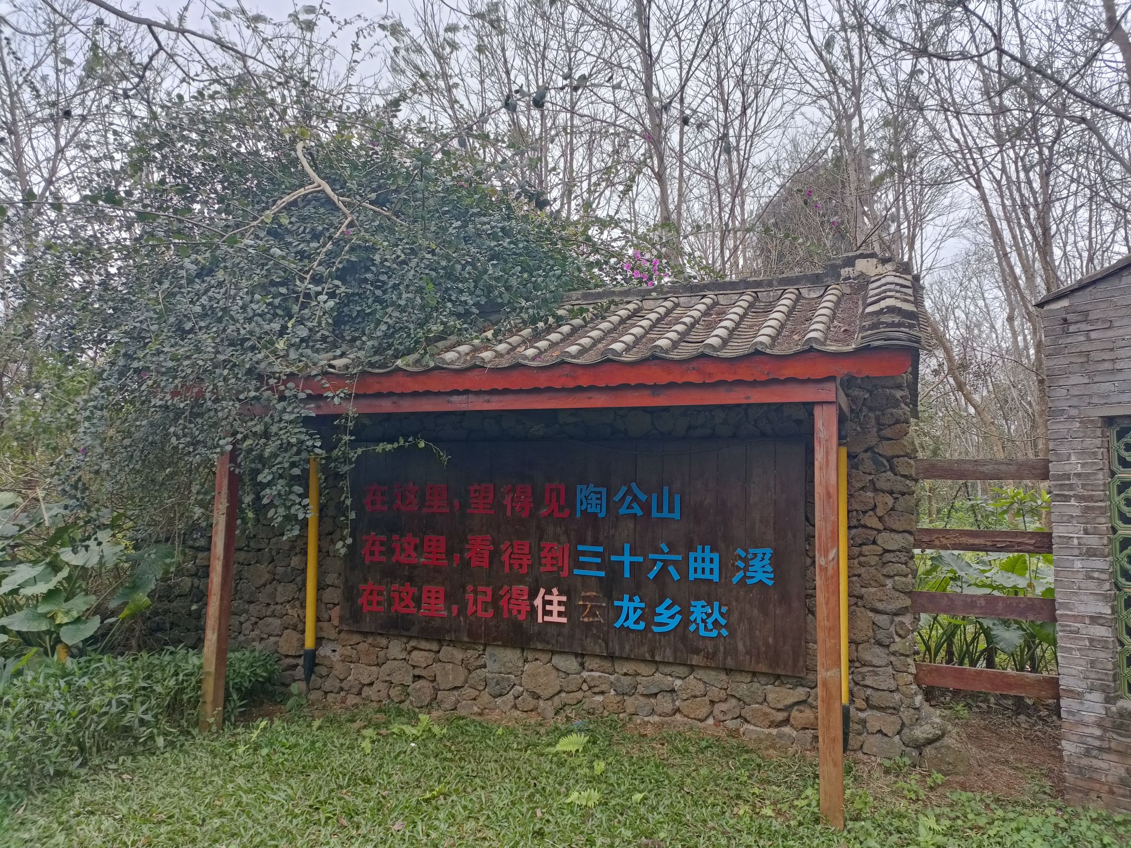 云龙三十六曲溪湿地公园