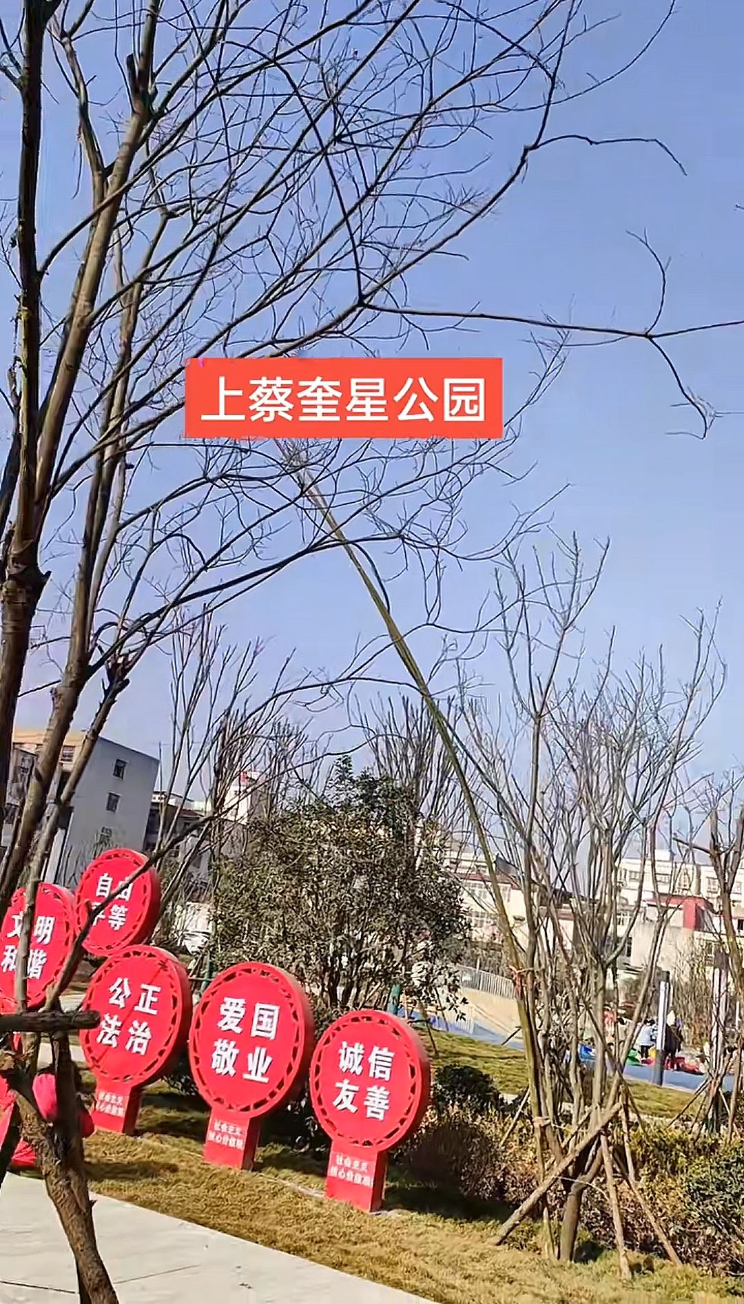 上蔡奎星公园旅行图片 3