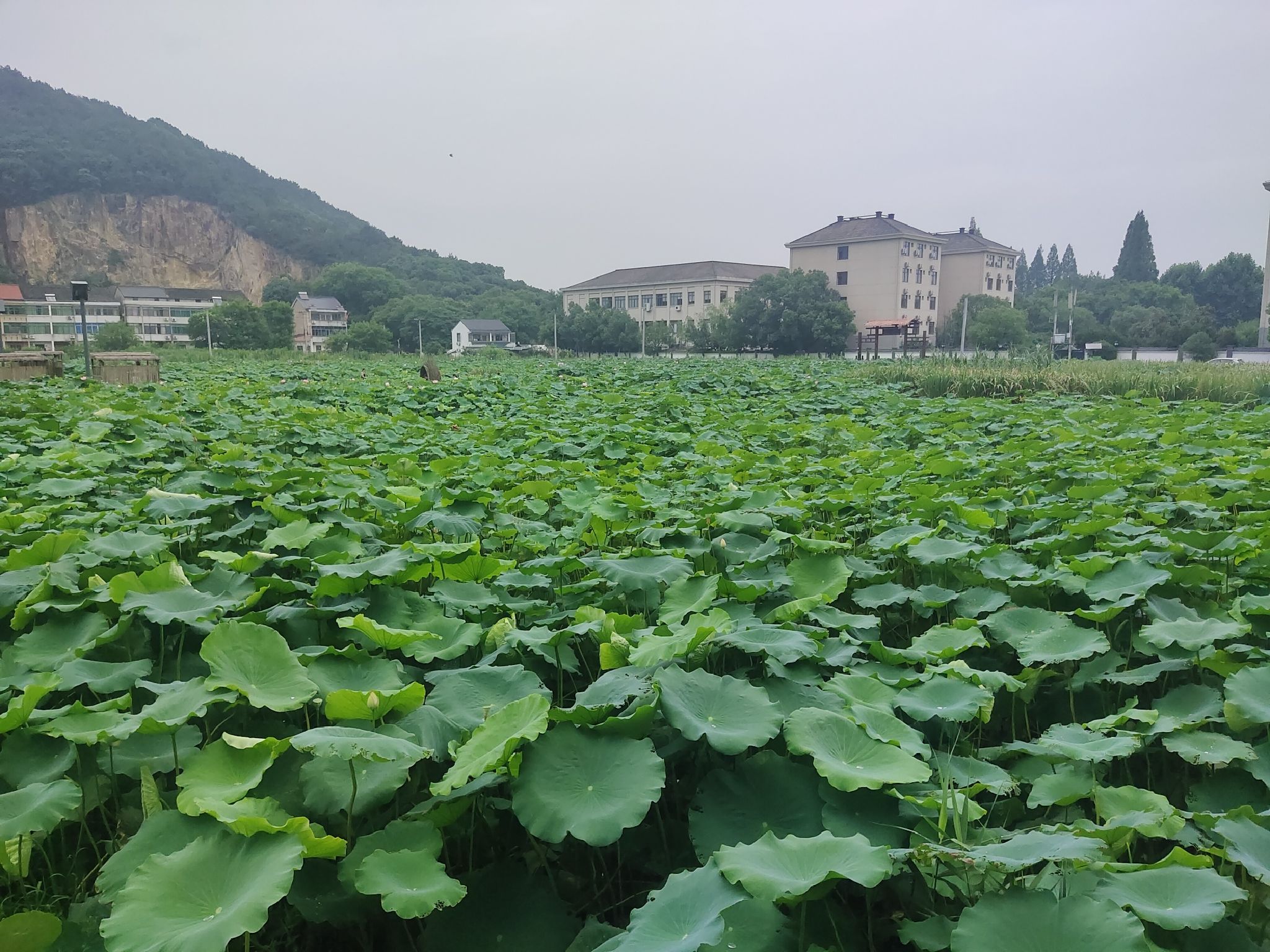 半亩方塘旅行图片 1