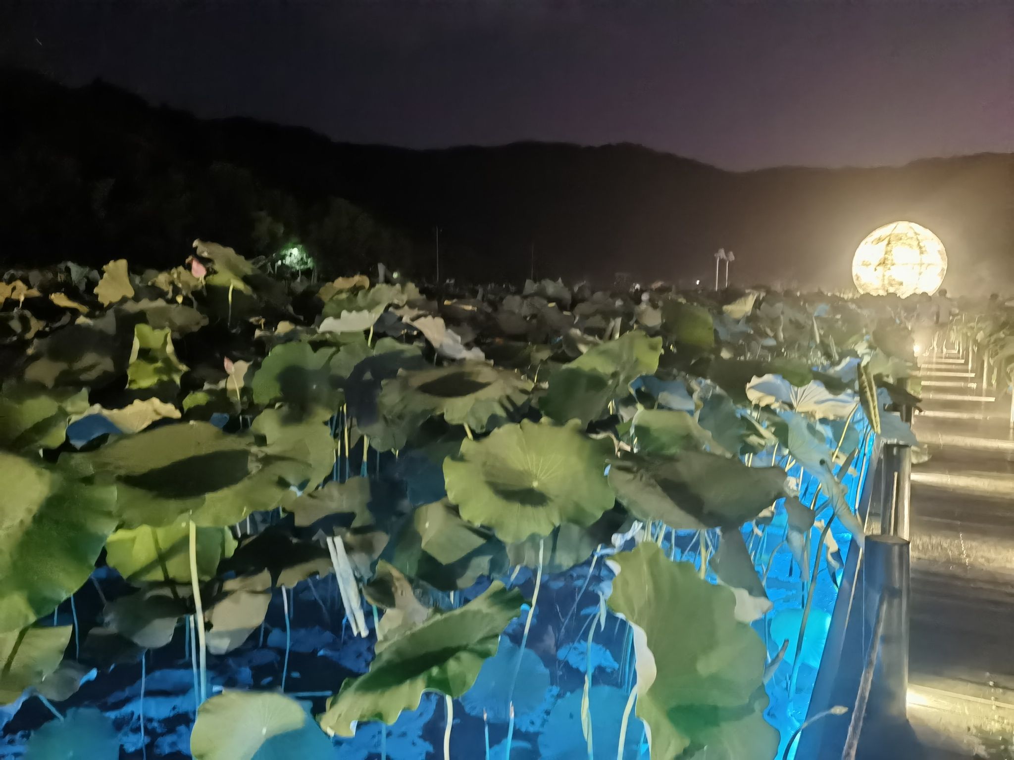 半亩方塘旅行图片 2