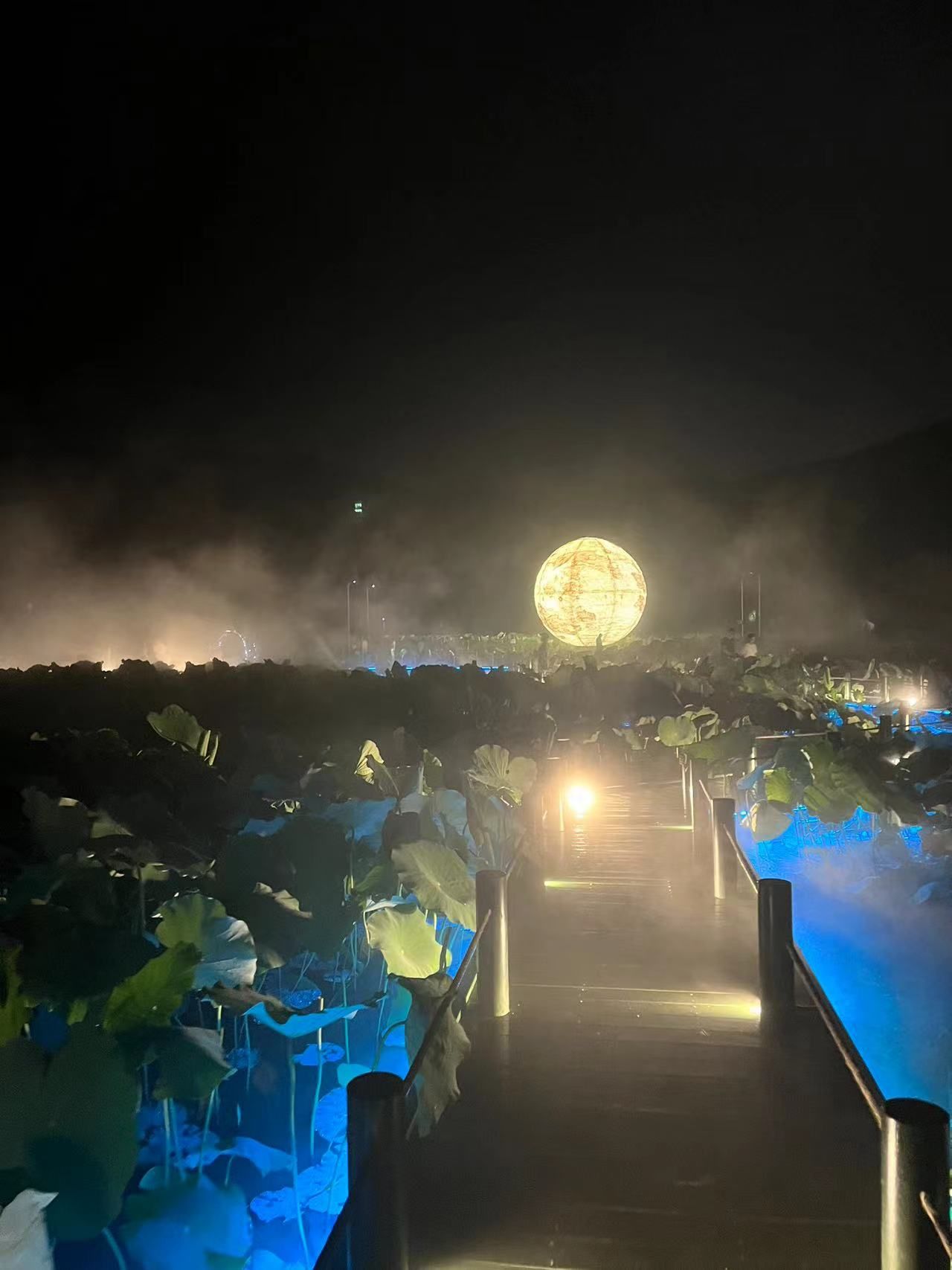 半亩方塘旅行图片 1