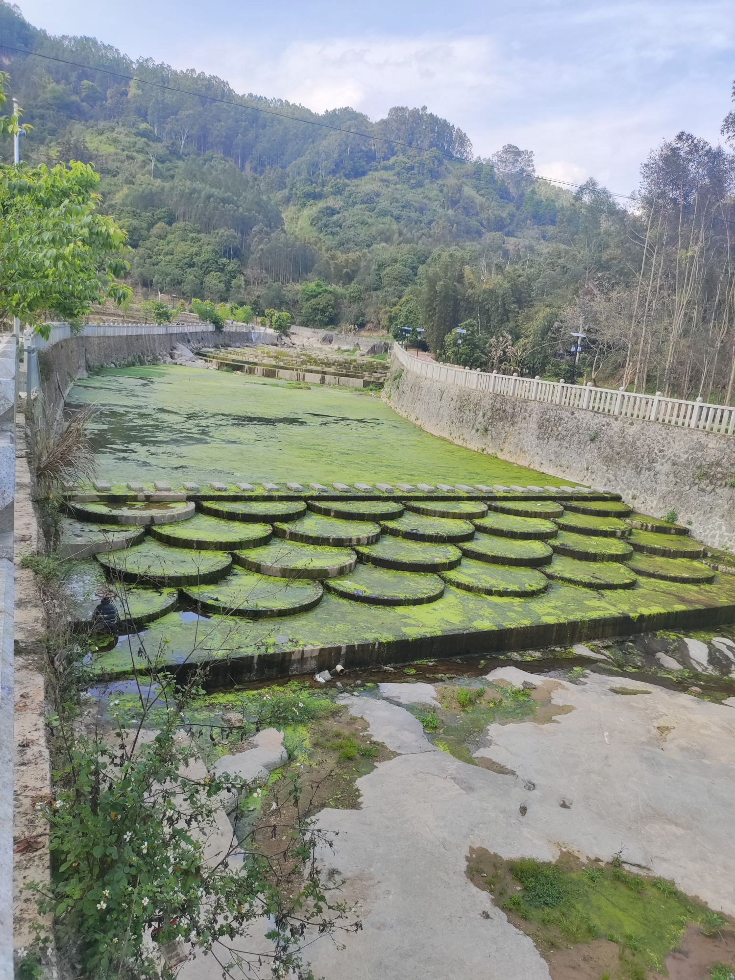 安平桥风景区旅行图片 2