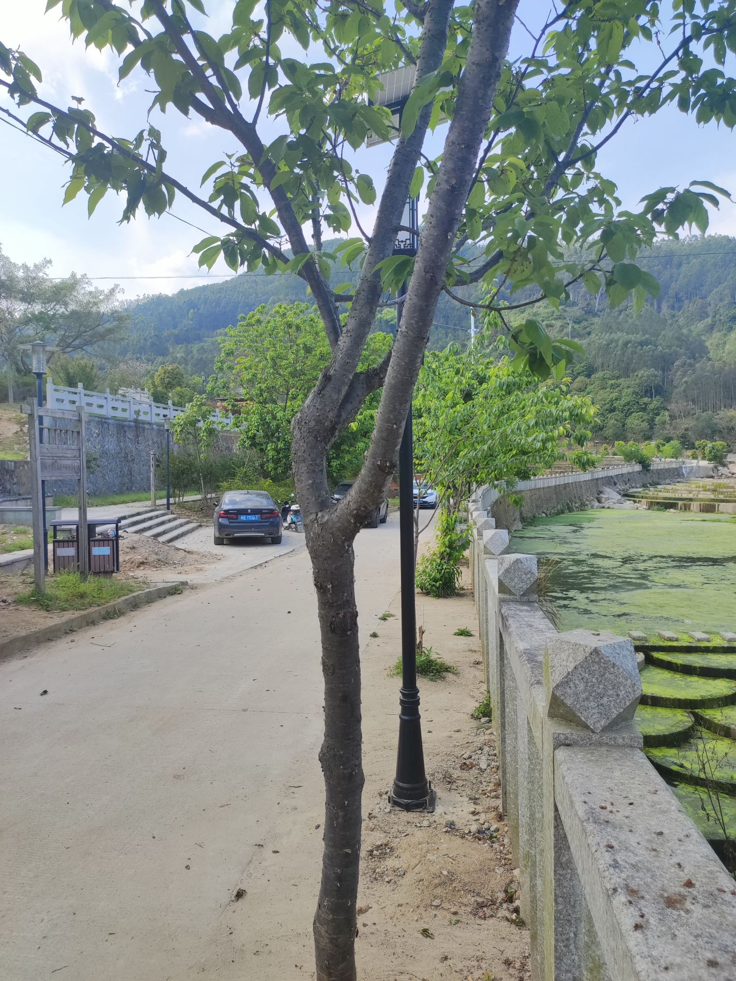 安平桥风景区旅行图片 3